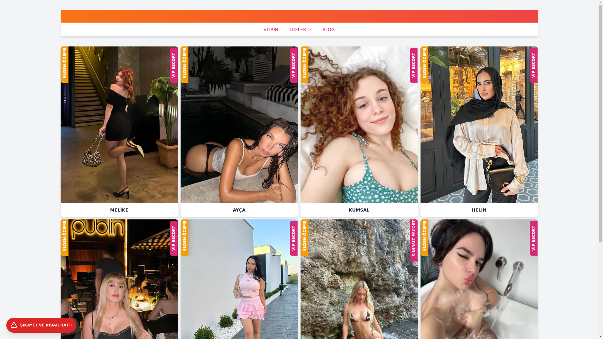 website screenshot of https://ankaraescortbayan.shop/