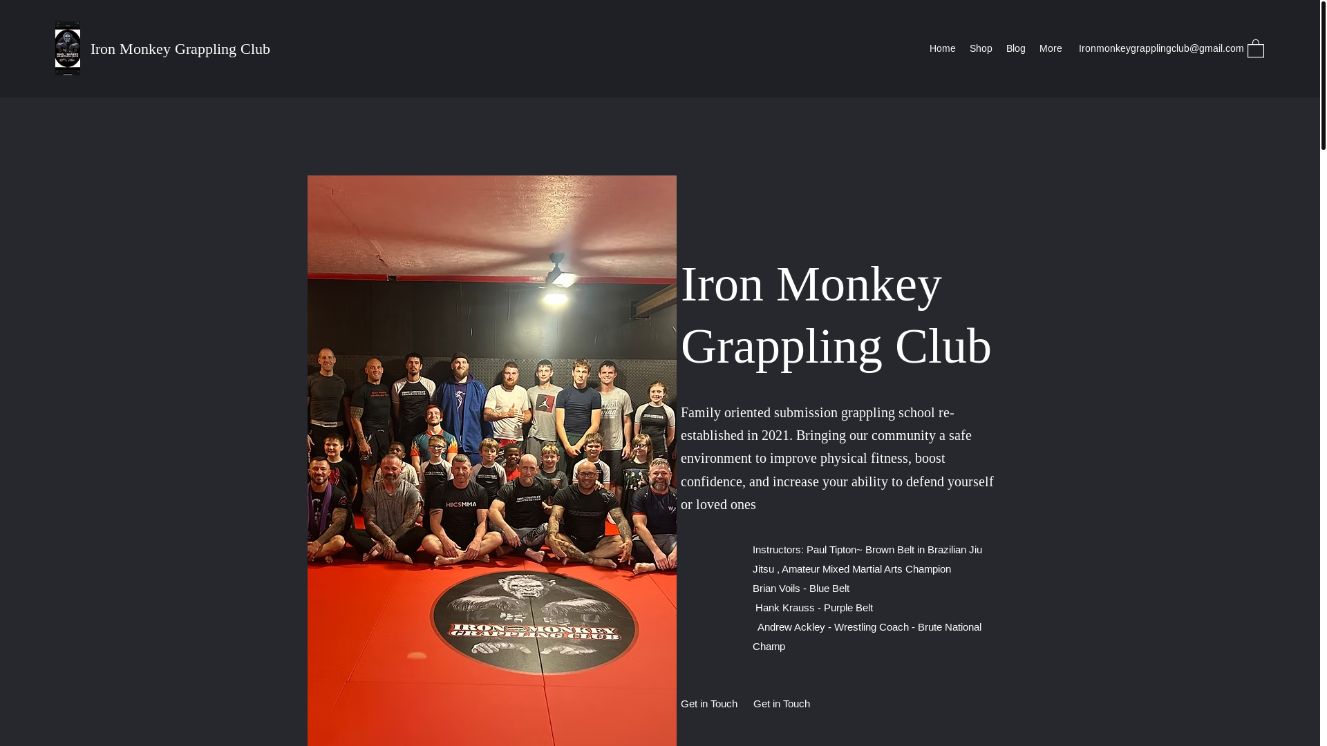 website screenshot of https://ironmonkeygrapplingclub.com/