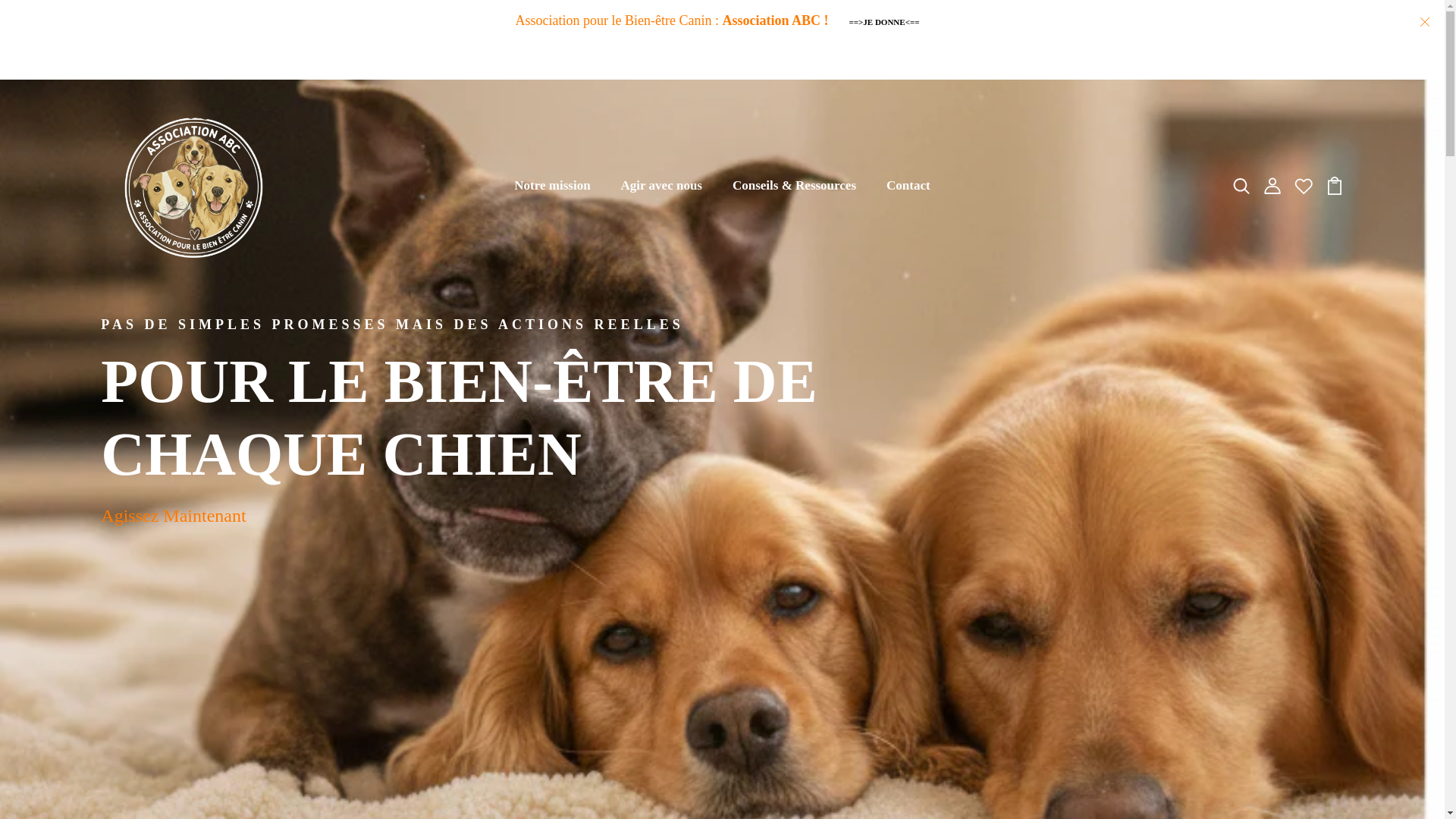 website screenshot of https://assoabc.org/