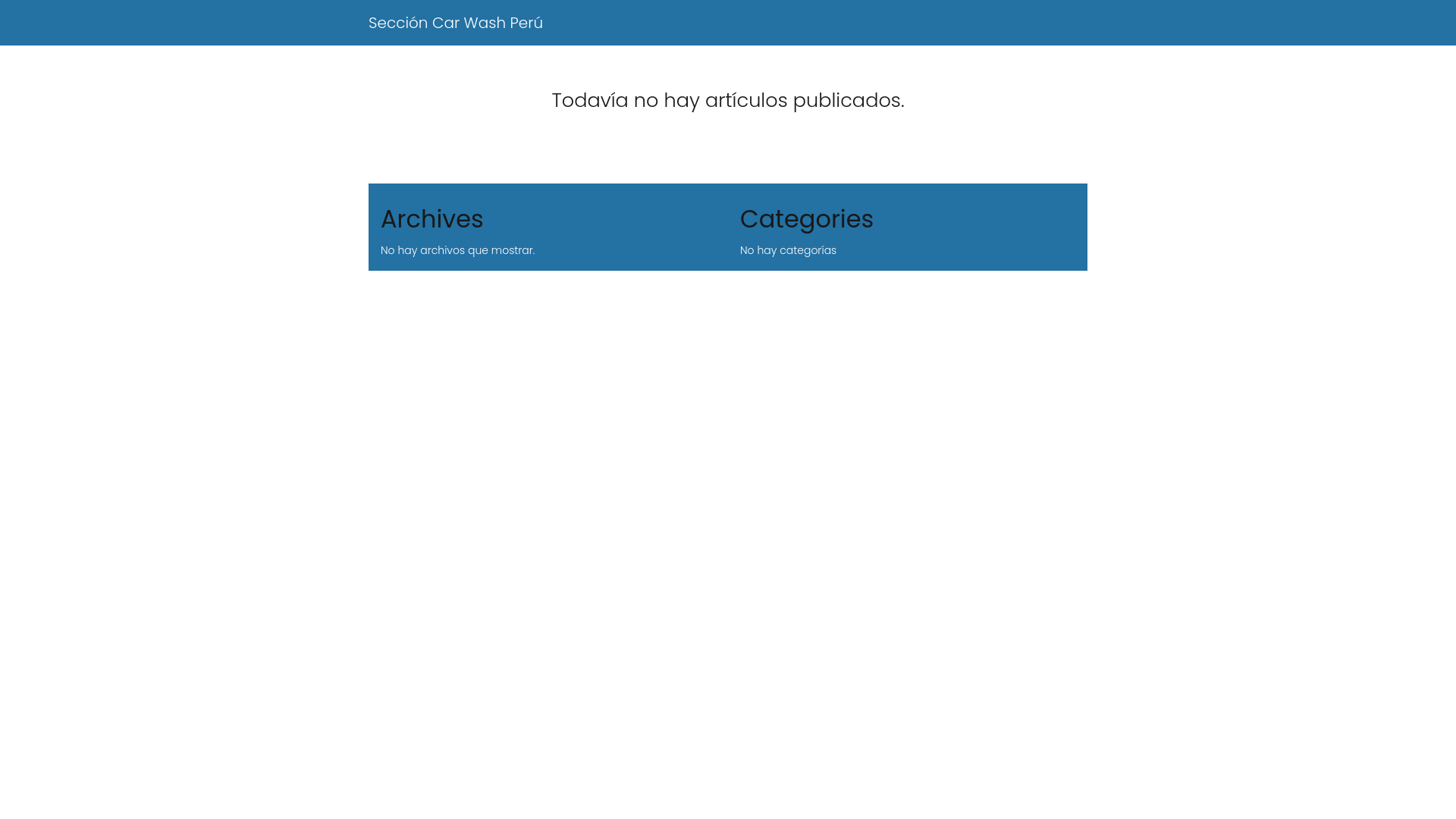 website screenshot of https://seccioncarwash.net.pe/