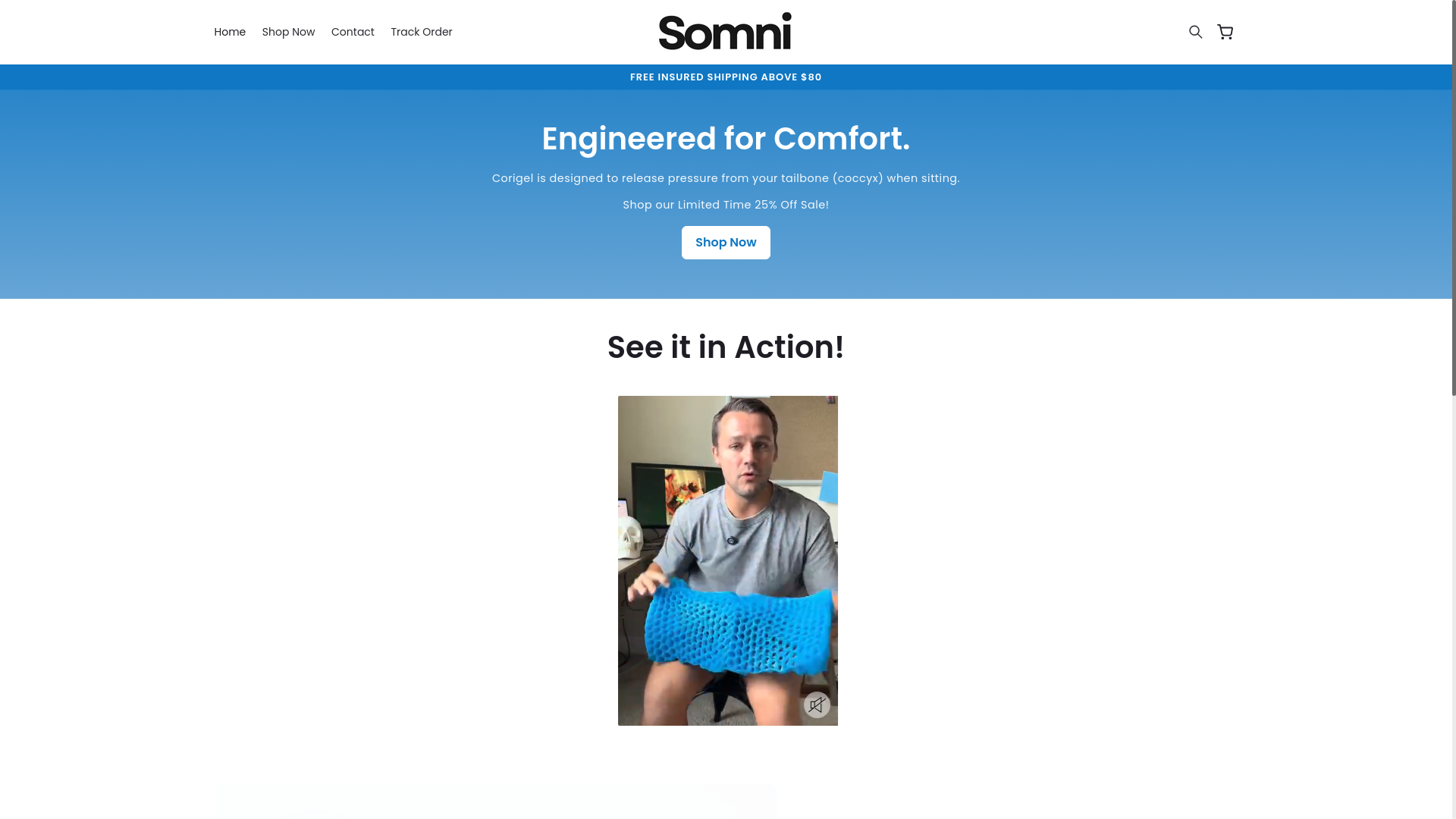 website screenshot of https://somnicap.com/