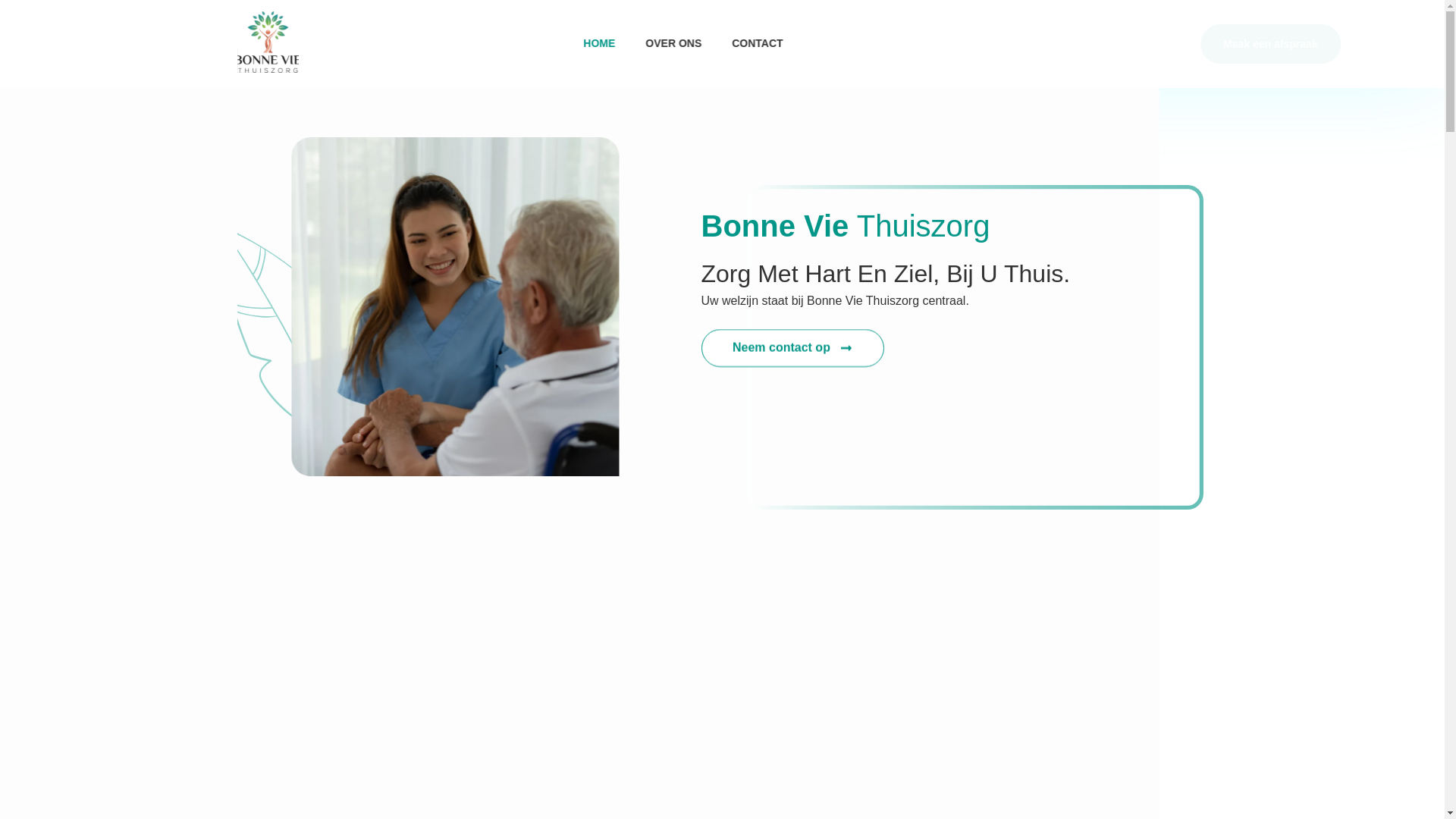 website screenshot of https://alizaycare.nl/