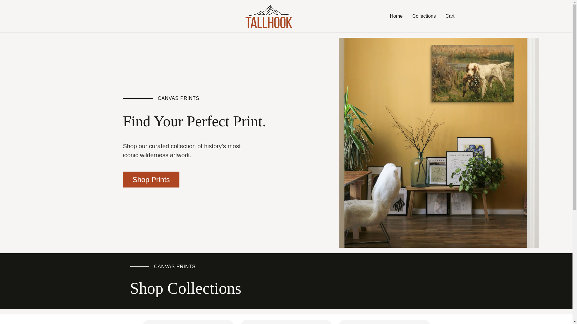 website screenshot of https://tallhook3.pages.dev/