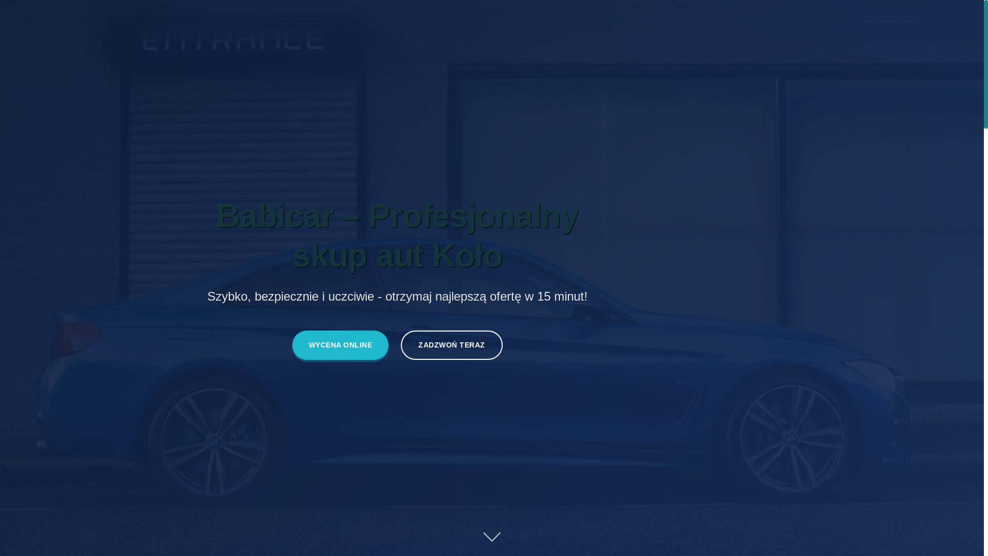 website screenshot of https://babicar.pl/
