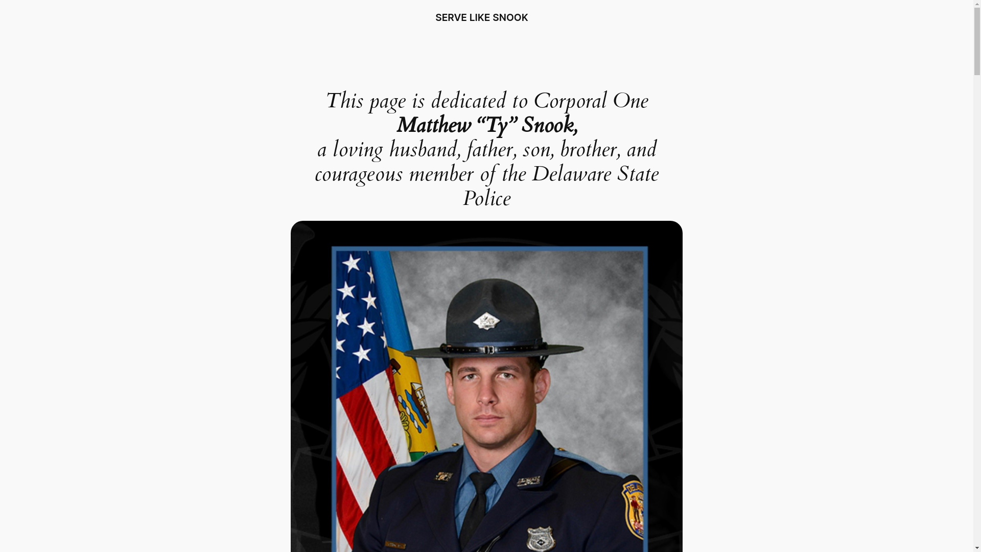 website screenshot of https://servelikesnook.com/