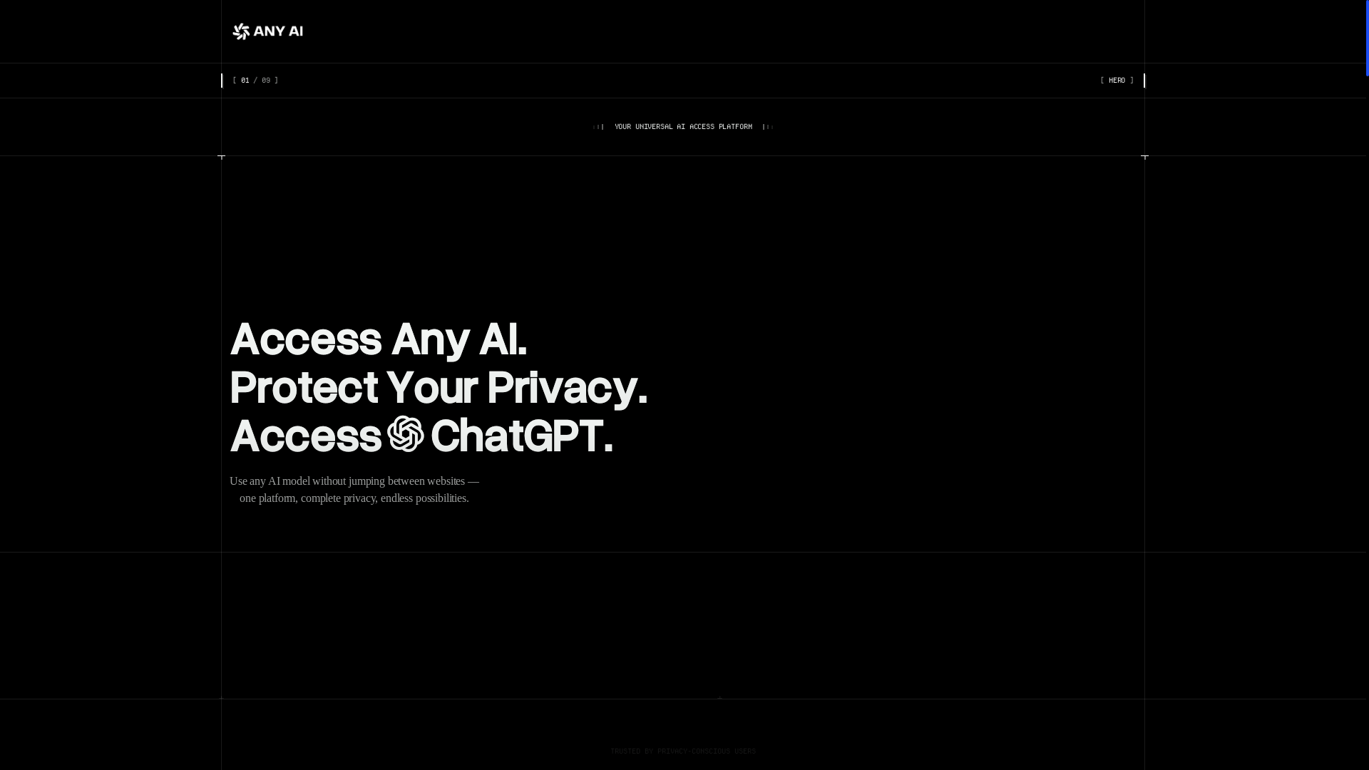 website screenshot of https://anyai.network/