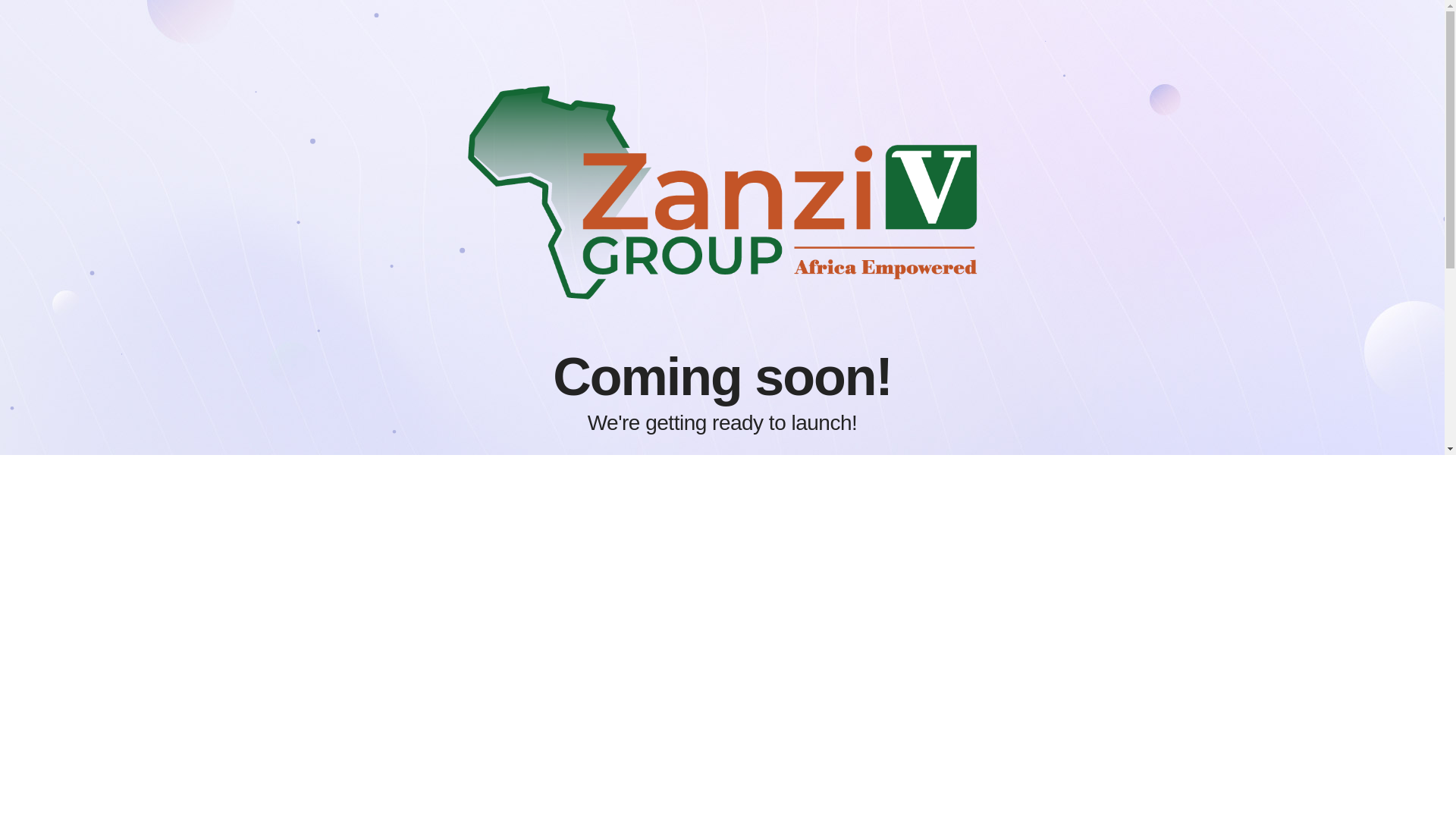 website screenshot of https://zanzivgroup.co.za/