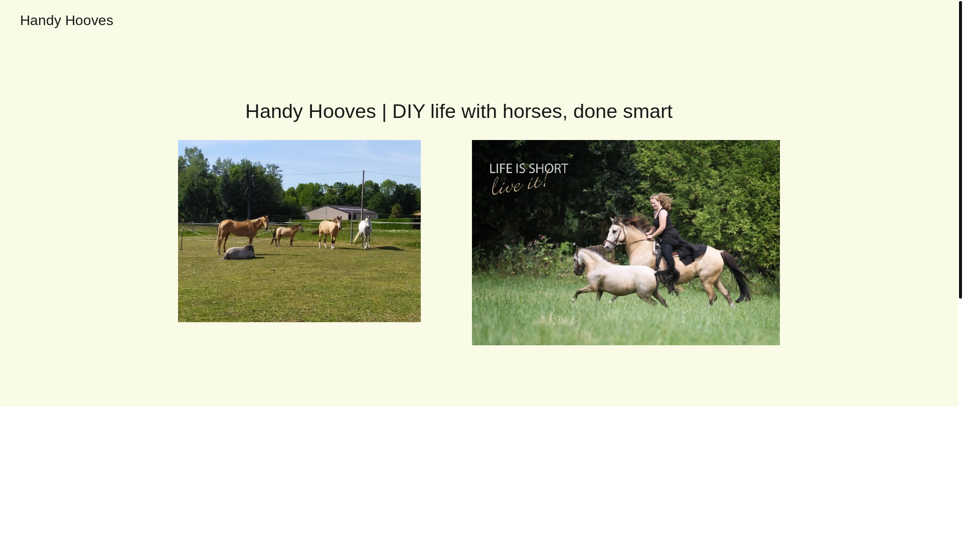 website screenshot of https://handyhooves.com/