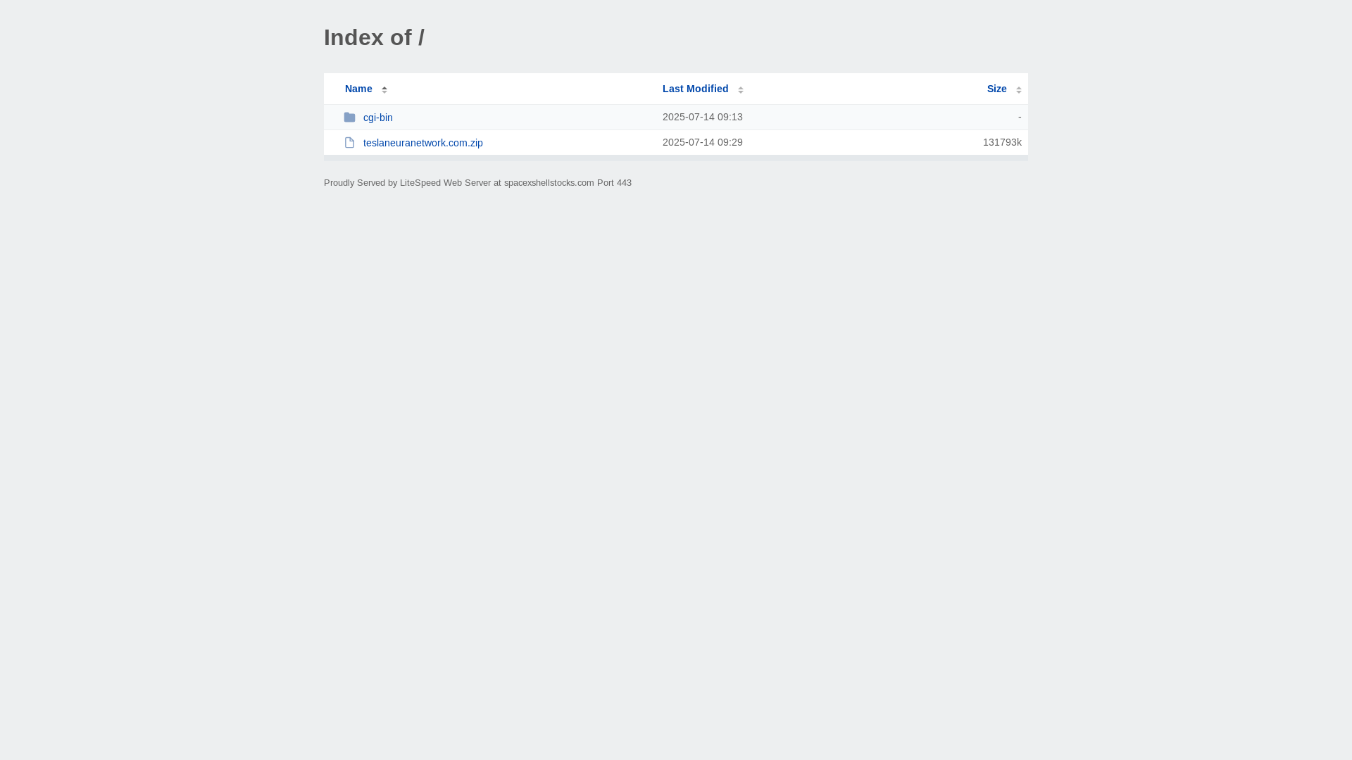 website screenshot of https://spacexshellstocks.com/