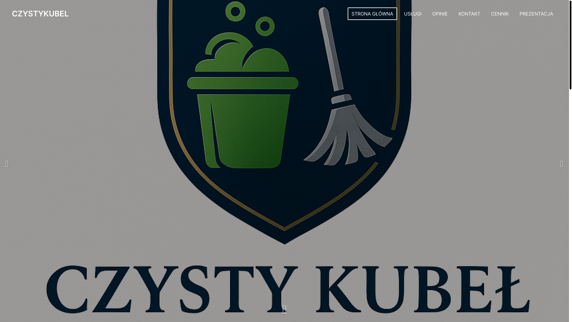 website screenshot of https://czystykubel.com/