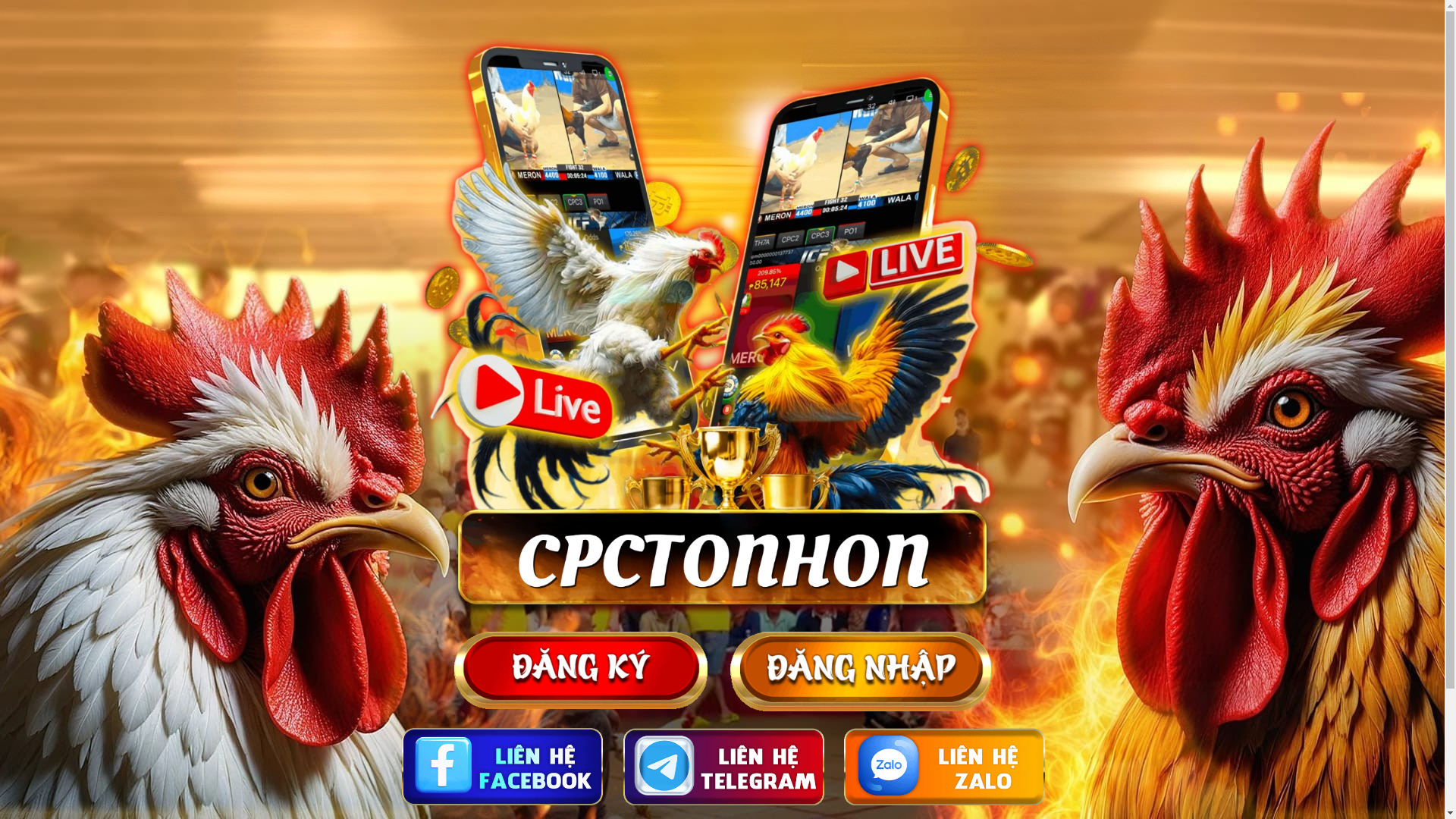 website screenshot of https://cpctonhon.com/