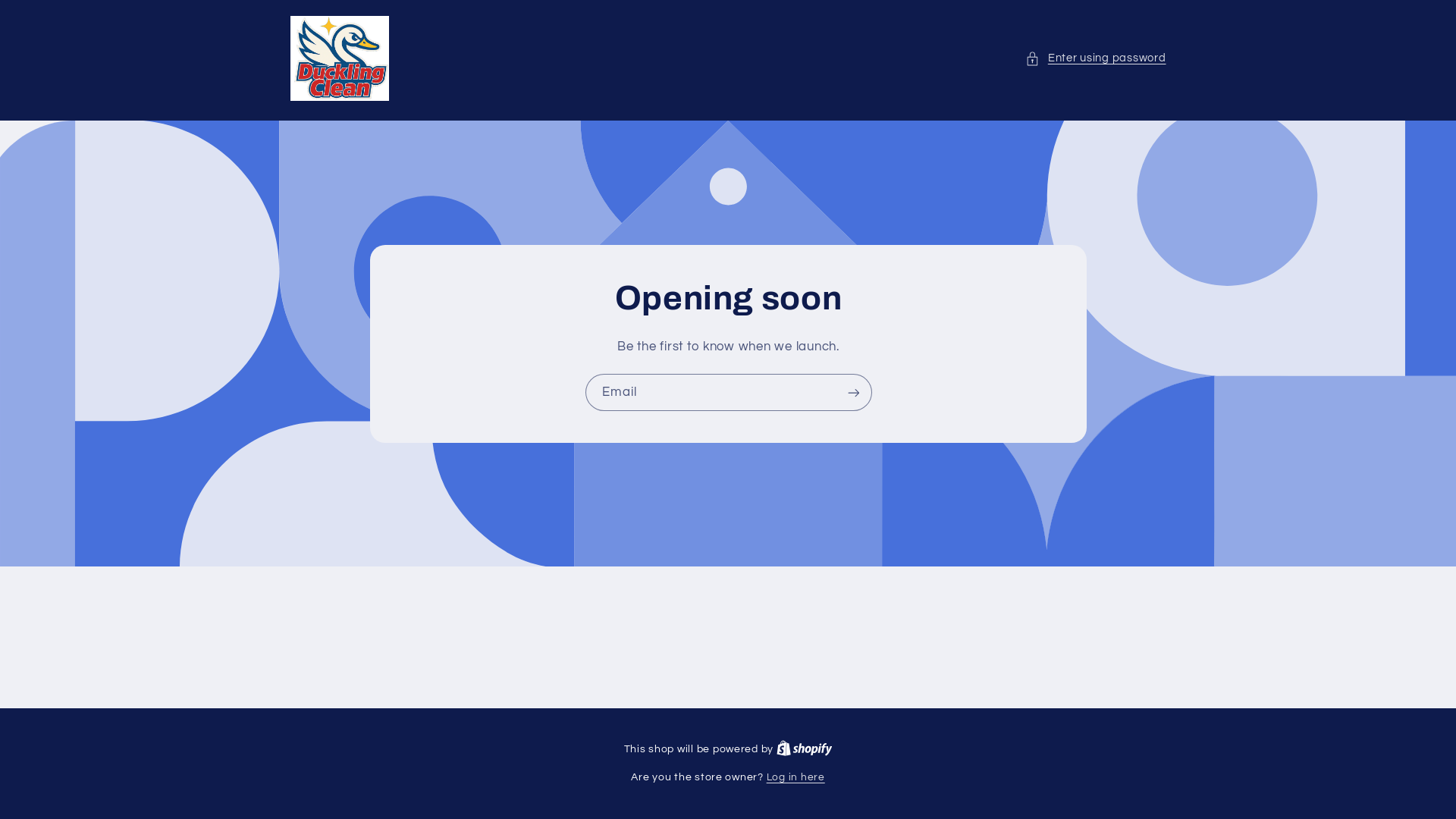 website screenshot of https://ducklingclean.com/