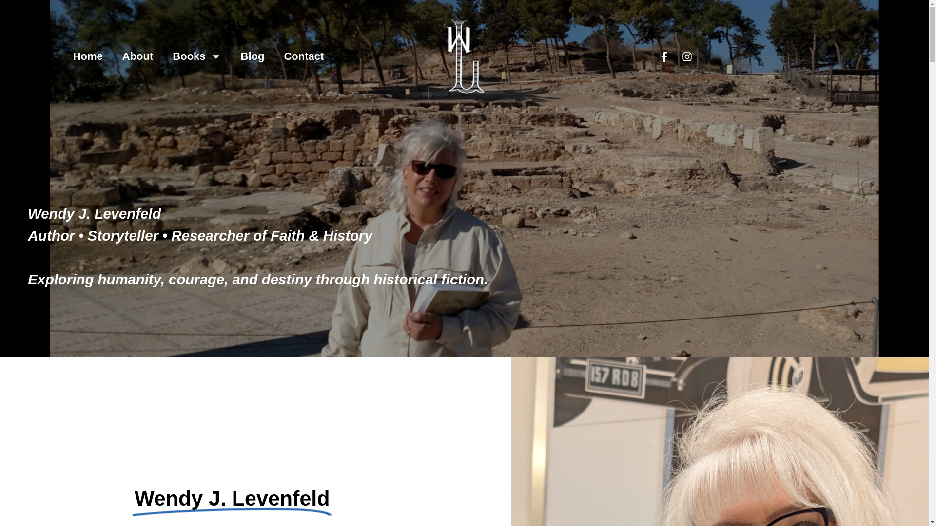 website screenshot of https://wendylevenfeldbooks.com/