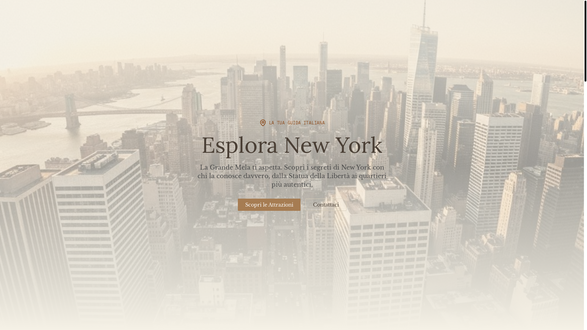 website screenshot of https://viaggianewyork.com/