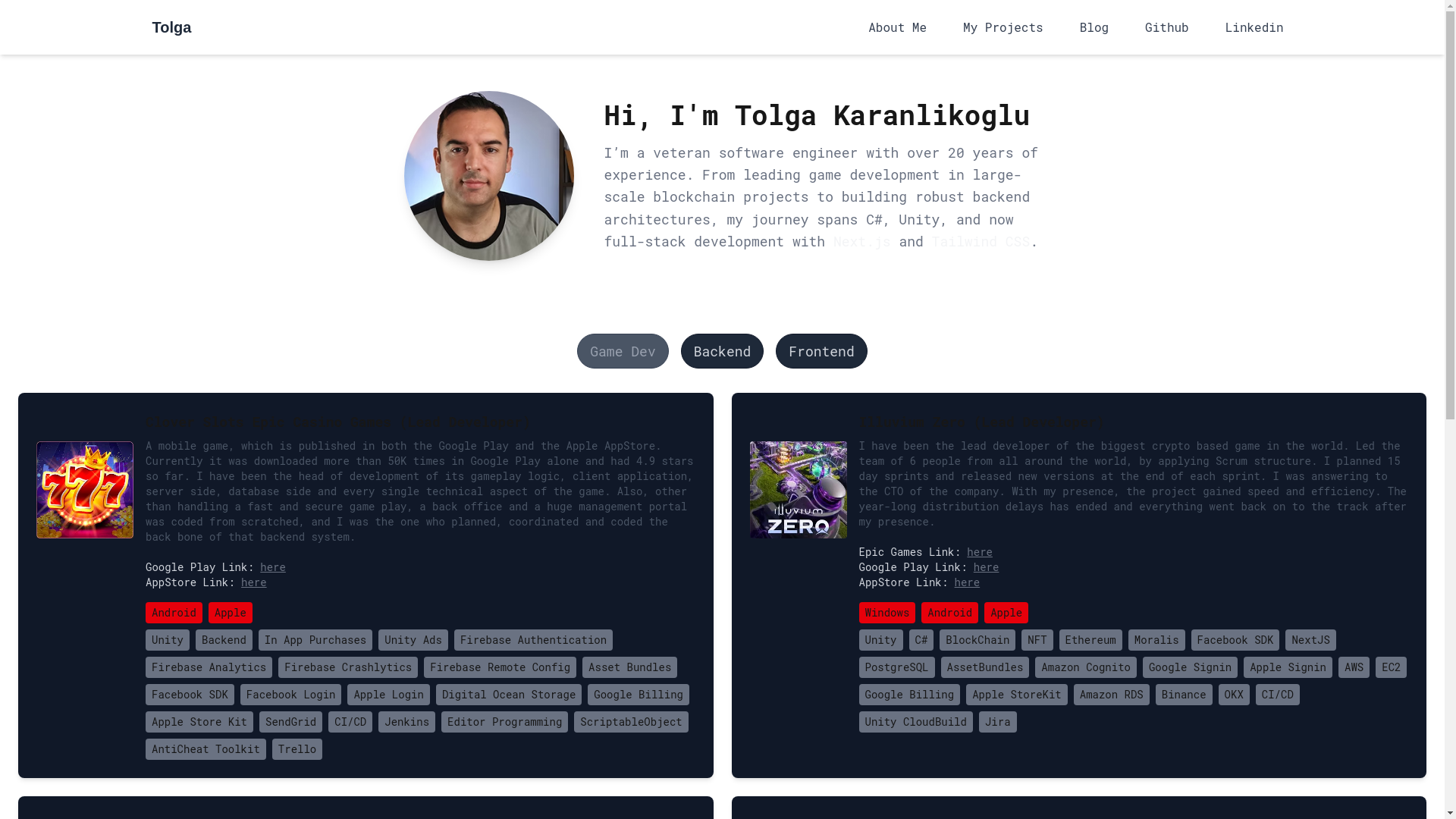 website screenshot of https://tolgakaranlik.dev/