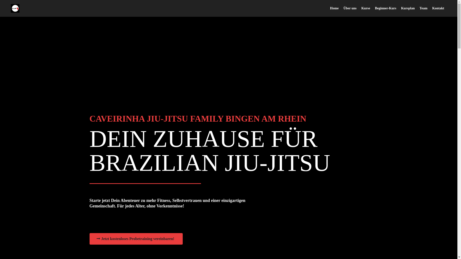 website screenshot of https://cjjf-bingen.de/