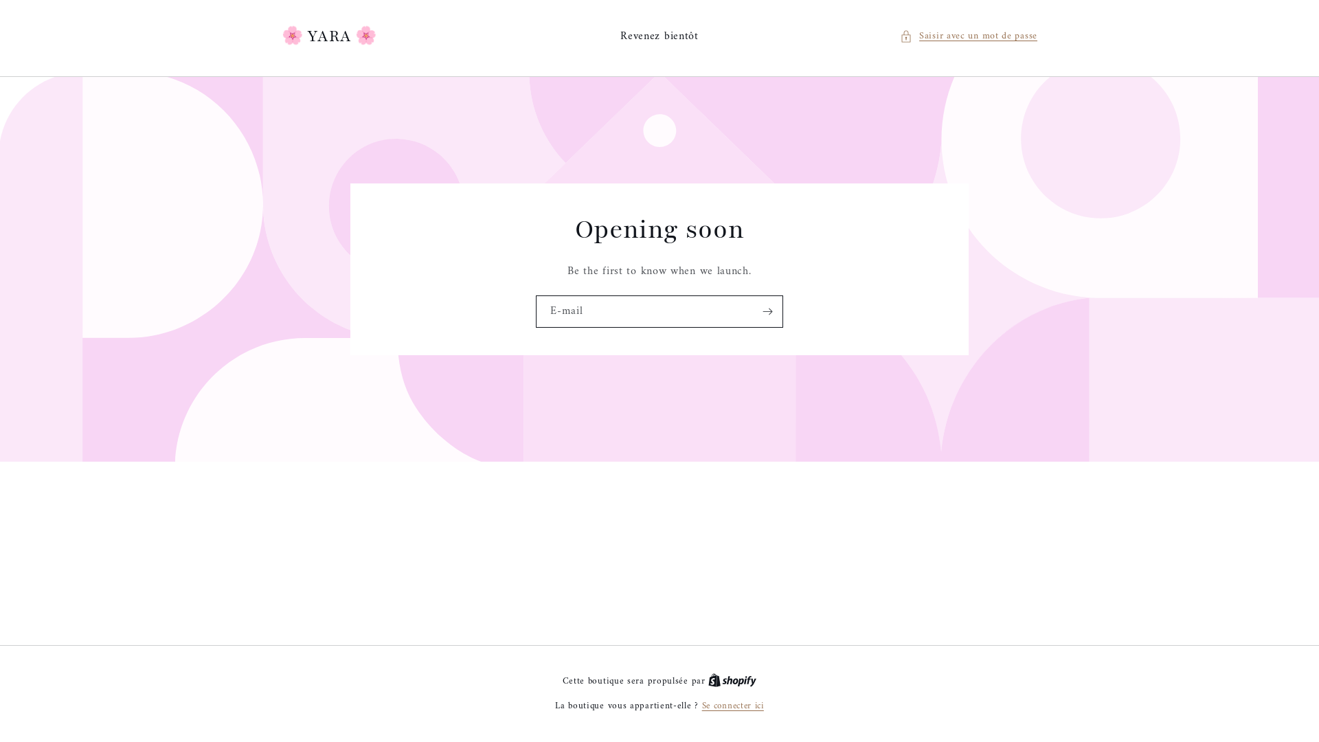 website screenshot of https://yara-arabesque.com/