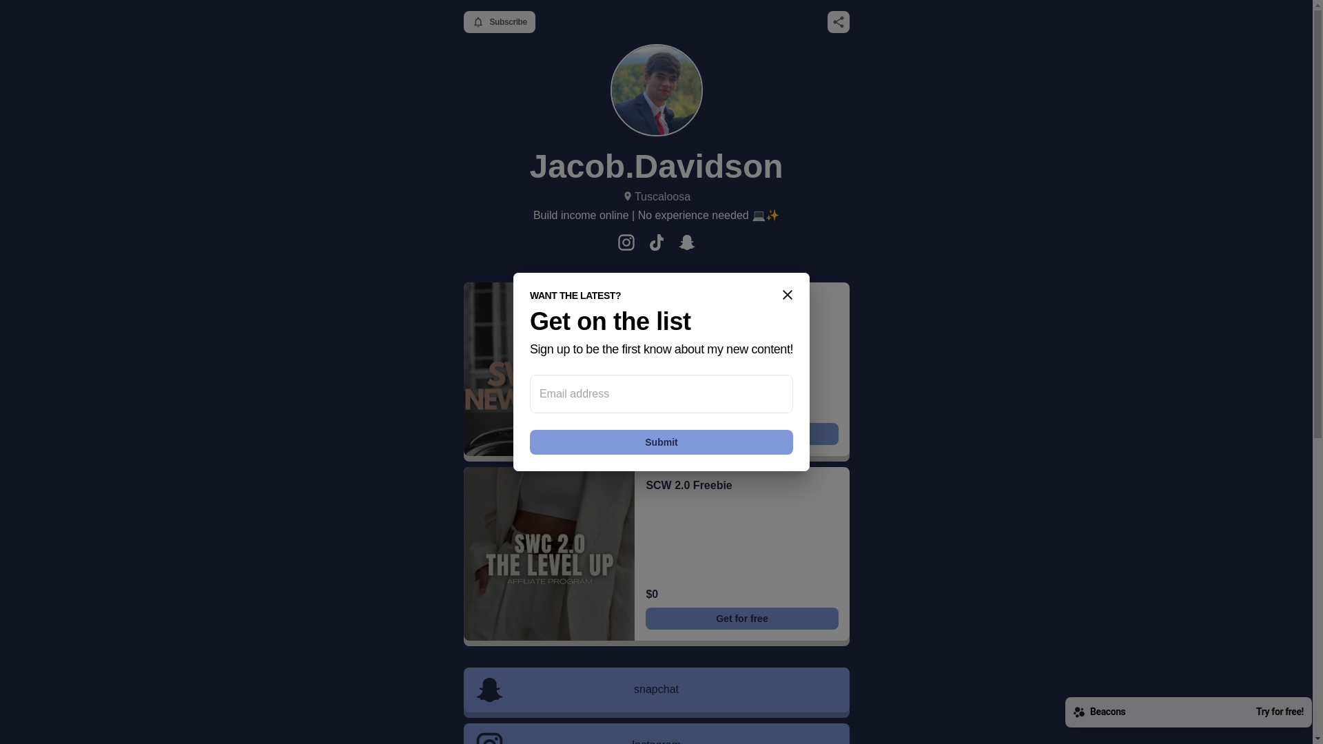 website screenshot of https://jacobdavidson13.store/