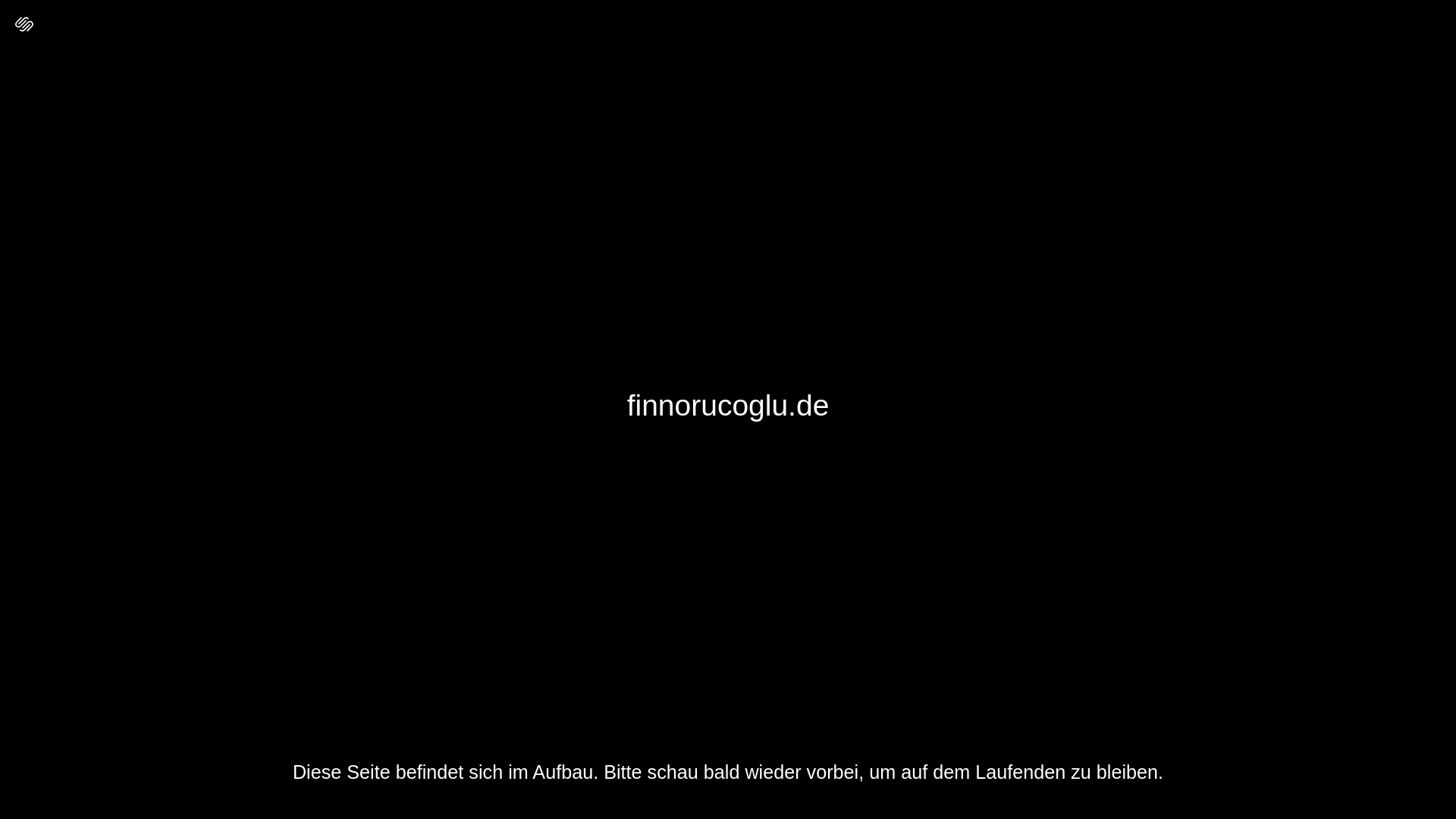 website screenshot of https://finnorucoglu.de/