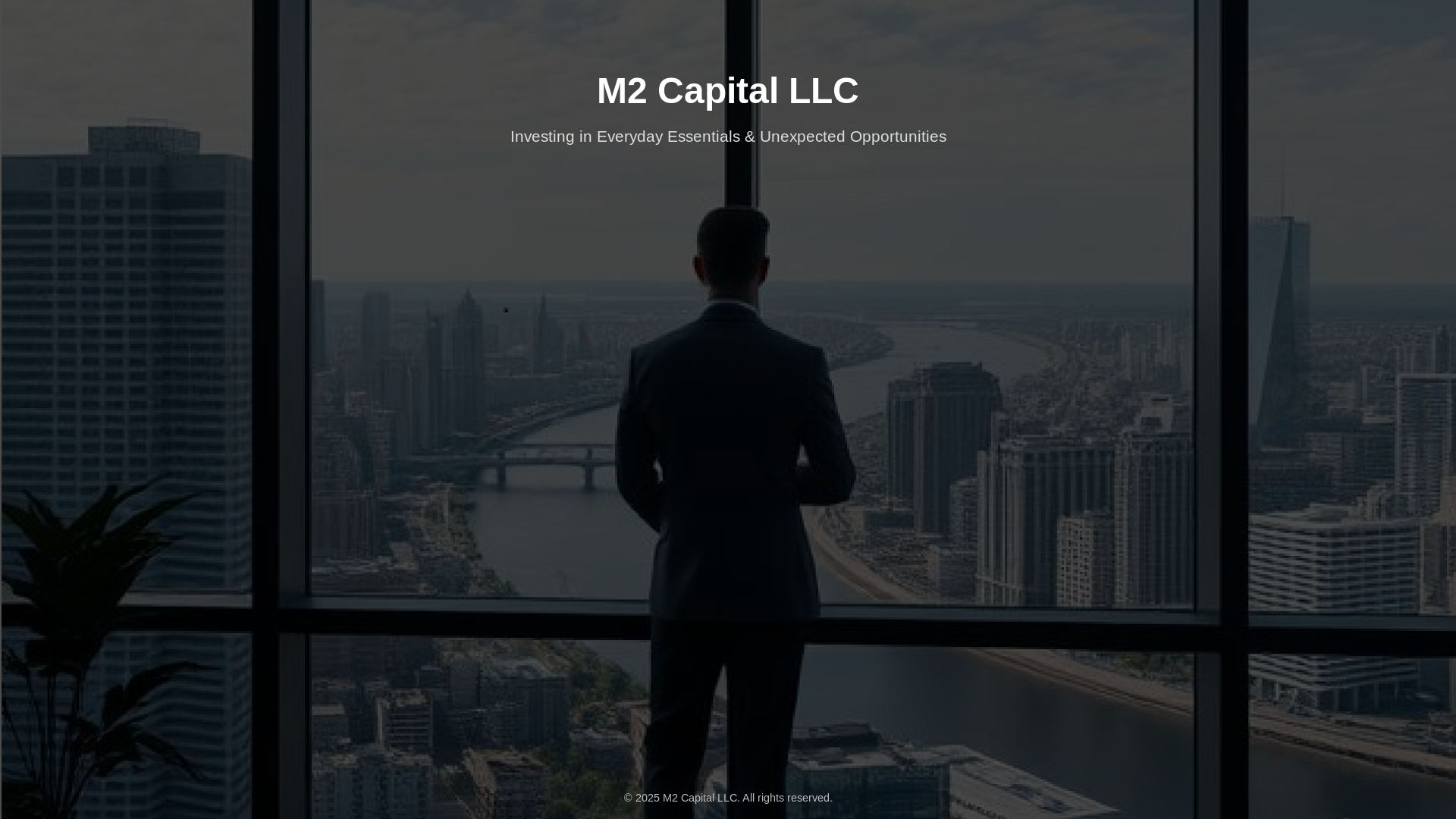 website screenshot of https://m2capitalllc.com/