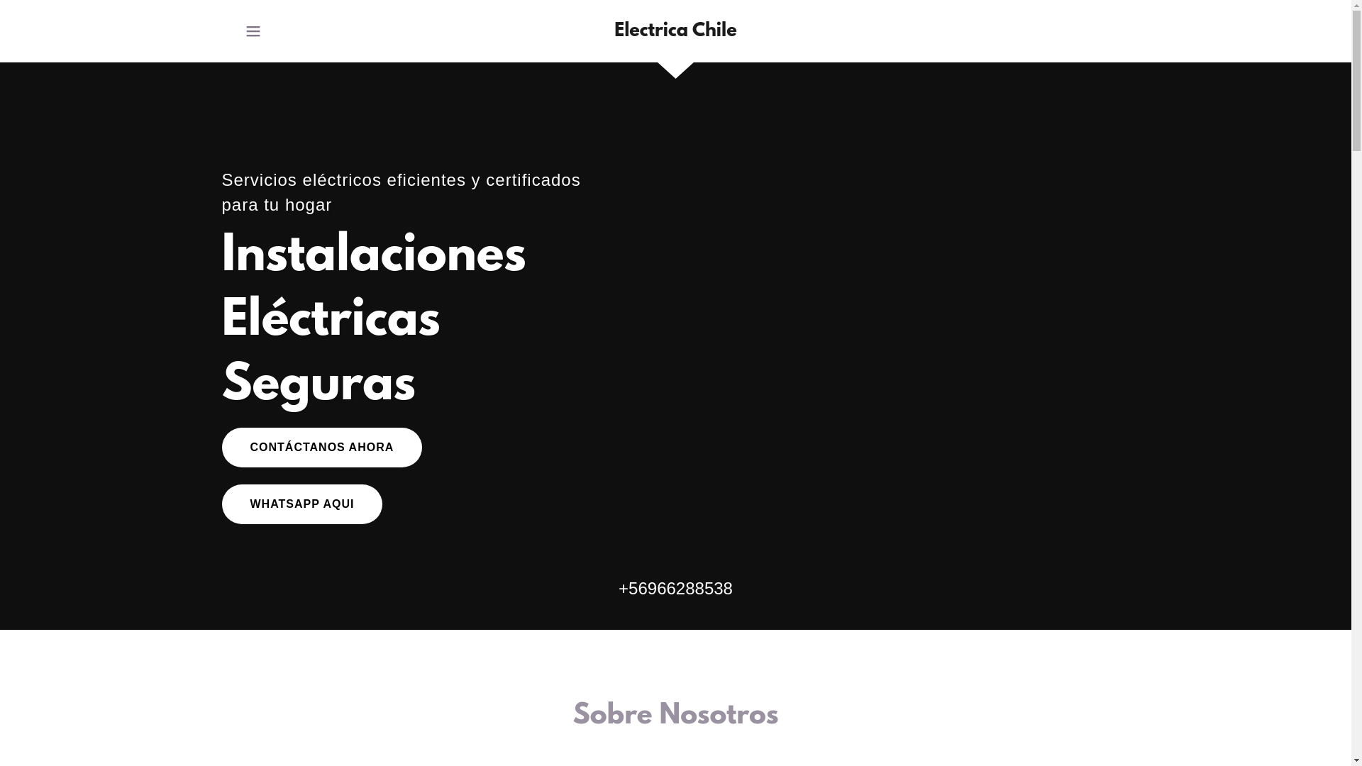 website screenshot of https://electricachile.com/