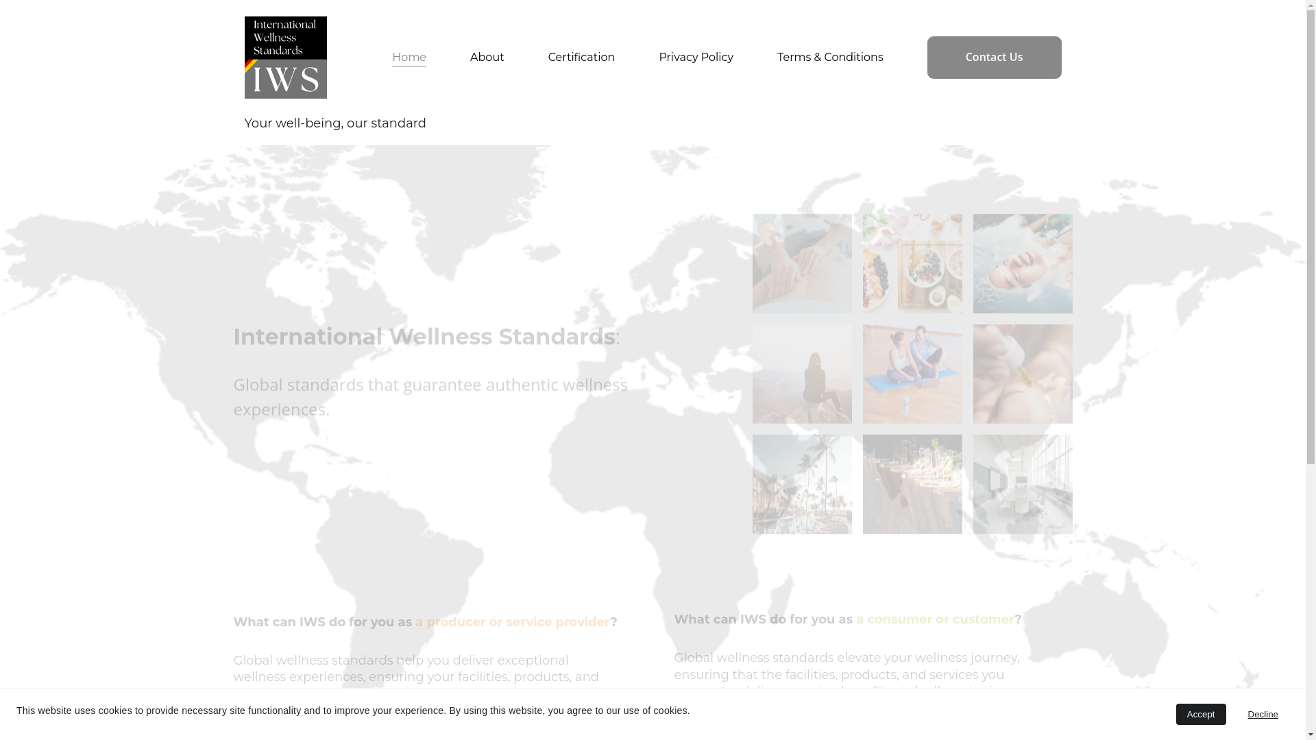 website screenshot of https://wellnessstandards.de/