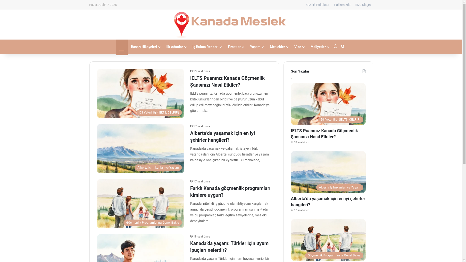 website screenshot of https://kanadameslek.com.tr/