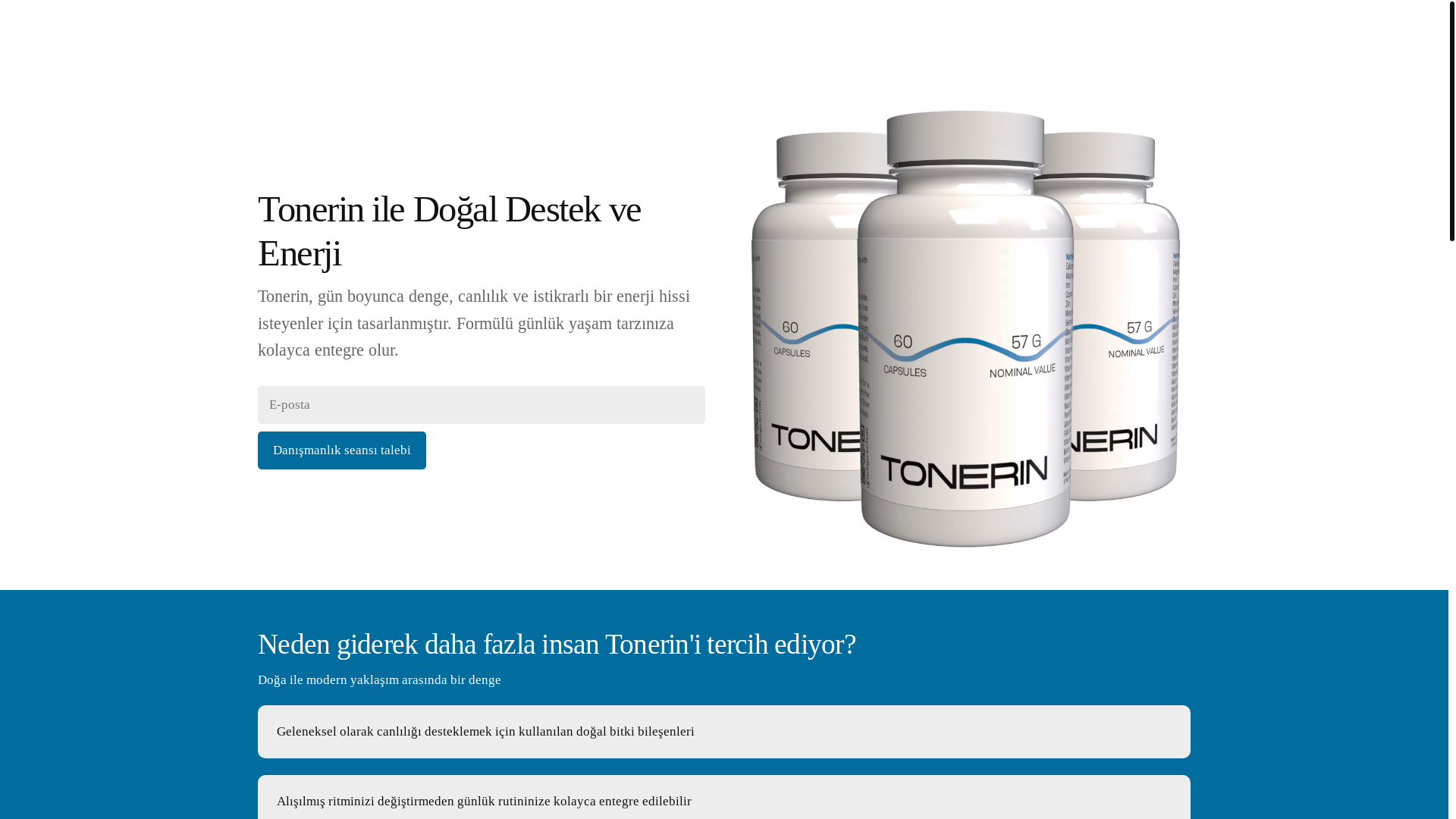 website screenshot of https://kalpenerjisihub.info/