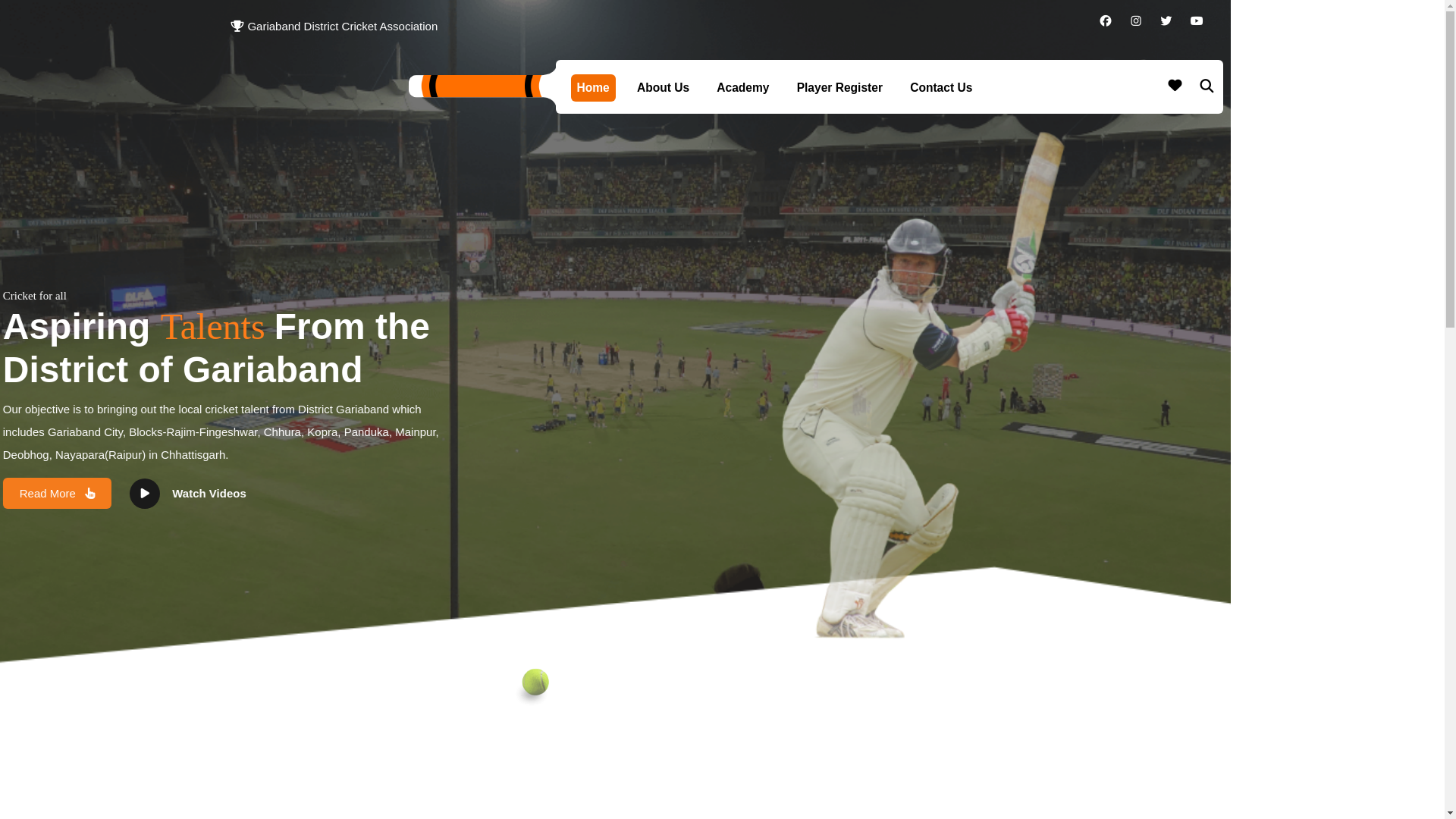 website screenshot of https://dkcricket.com/