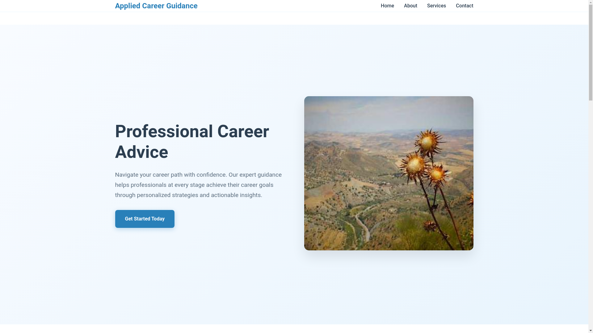 website screenshot of https://appliedcareerguidance.shop/