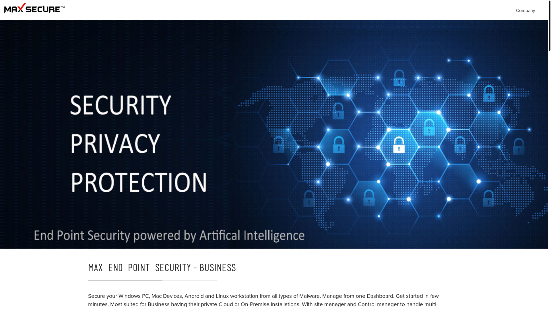 website screenshot of https://www.maxpcsecure.com/