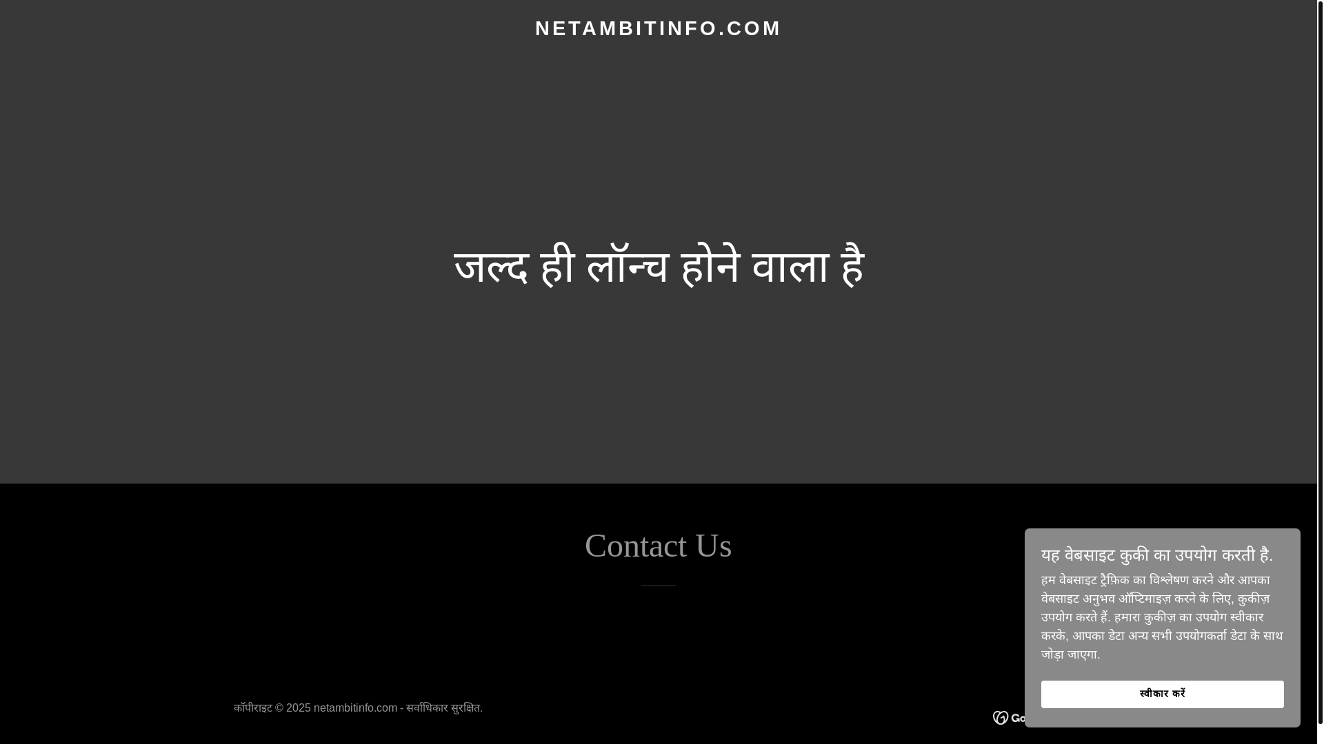 website screenshot of https://netambitinfo.com/