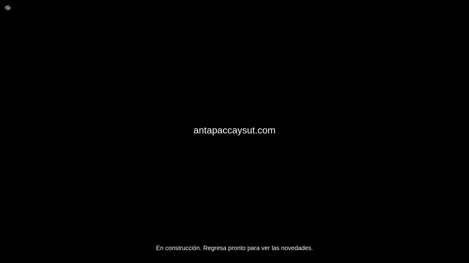 website screenshot of https://antapaccaysut.com/