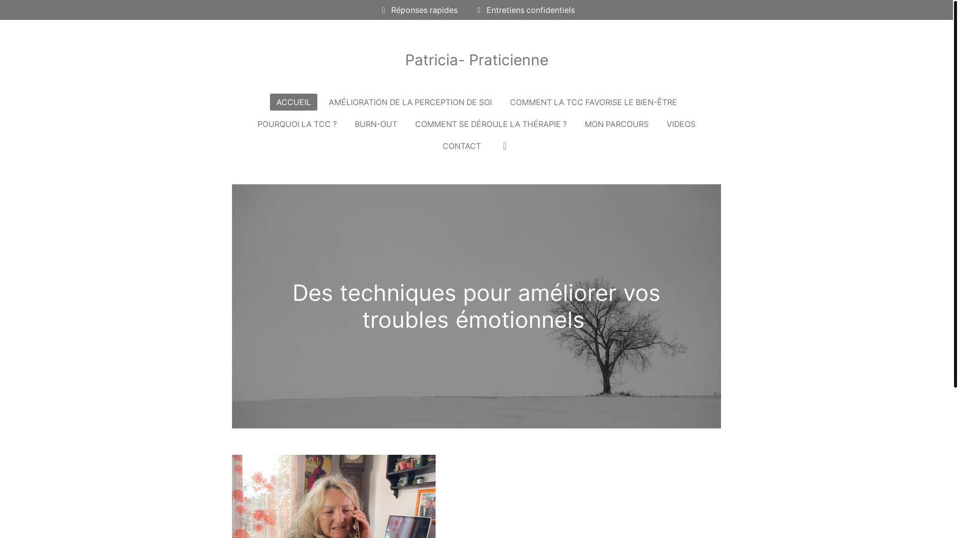 website screenshot of https://patricia-amodeo.fr/