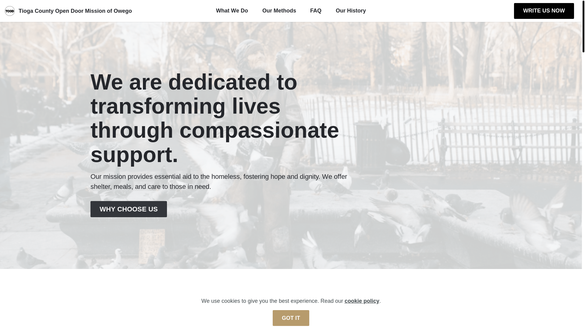 website screenshot of https://theopendoor-mission.com/
