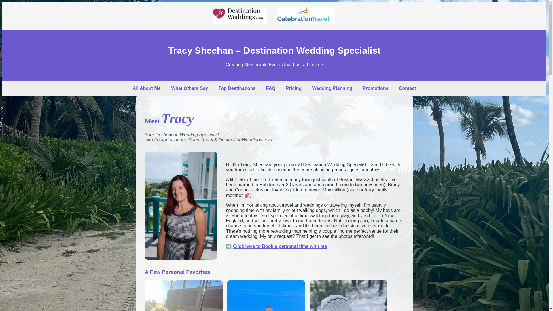 website screenshot of https://tracy-destinationweddings.com/