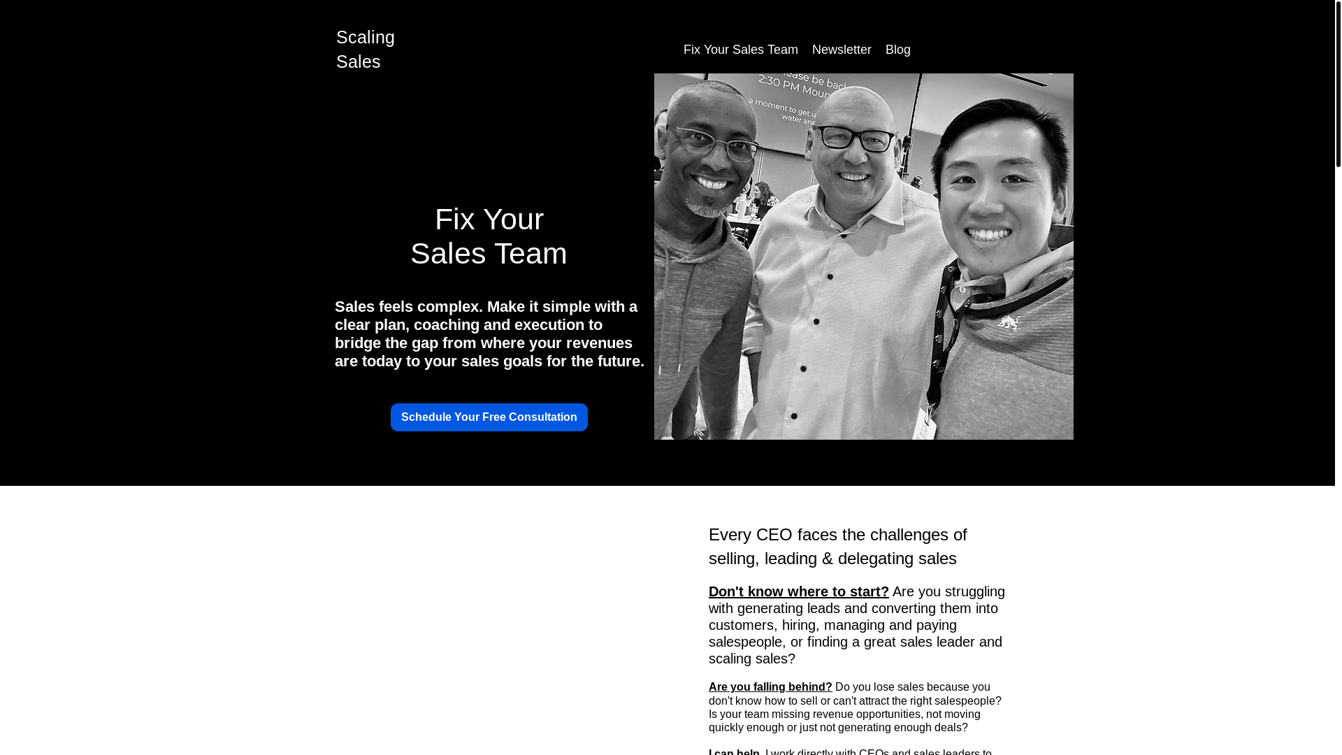website screenshot of https://ceosalesgauntlet.com/