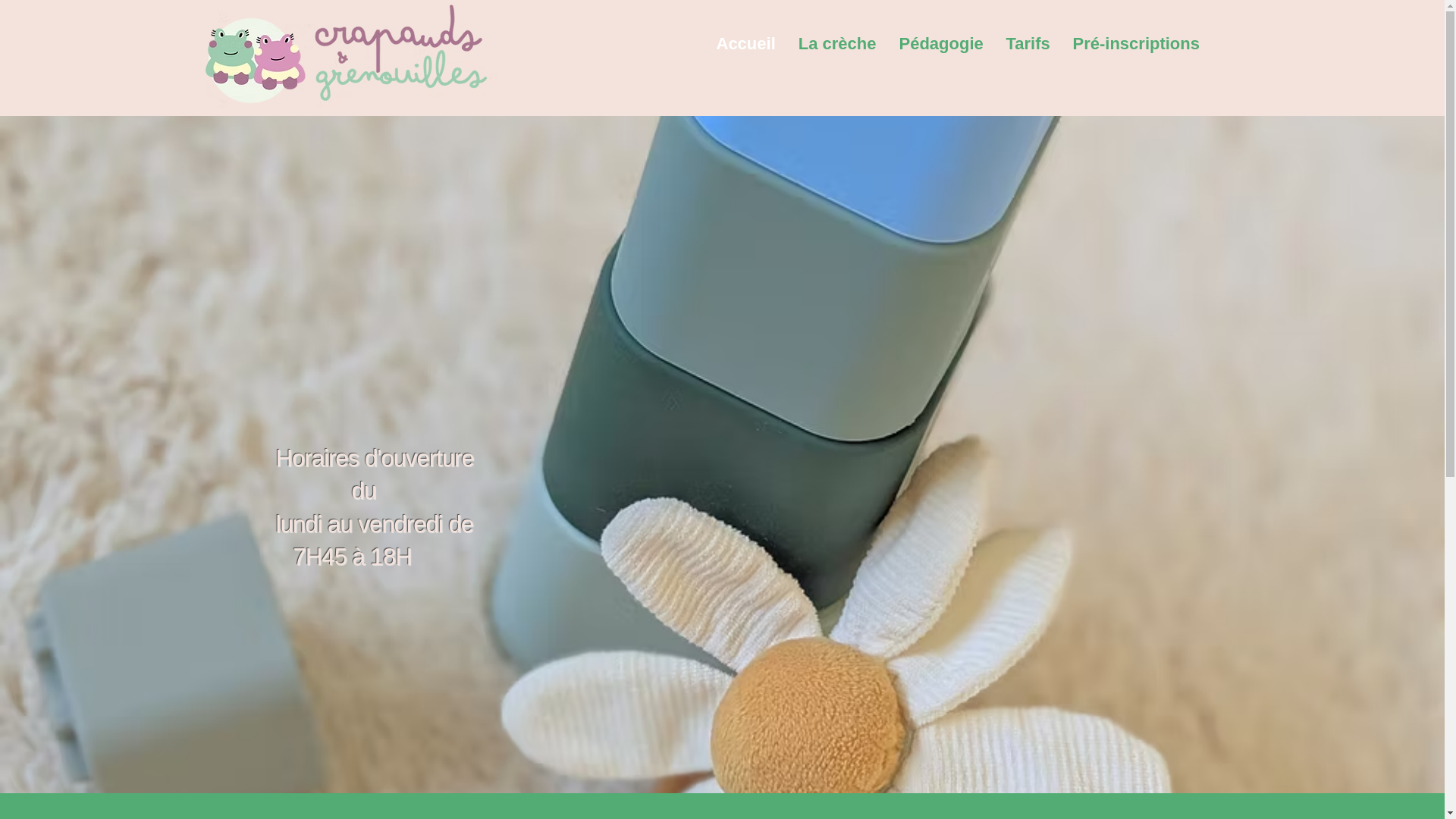 website screenshot of https://crapaudsetgrenouilles.com/