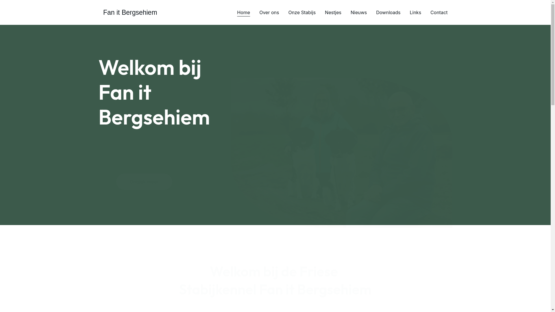 website screenshot of https://fan-it-bergsehiem.nl/