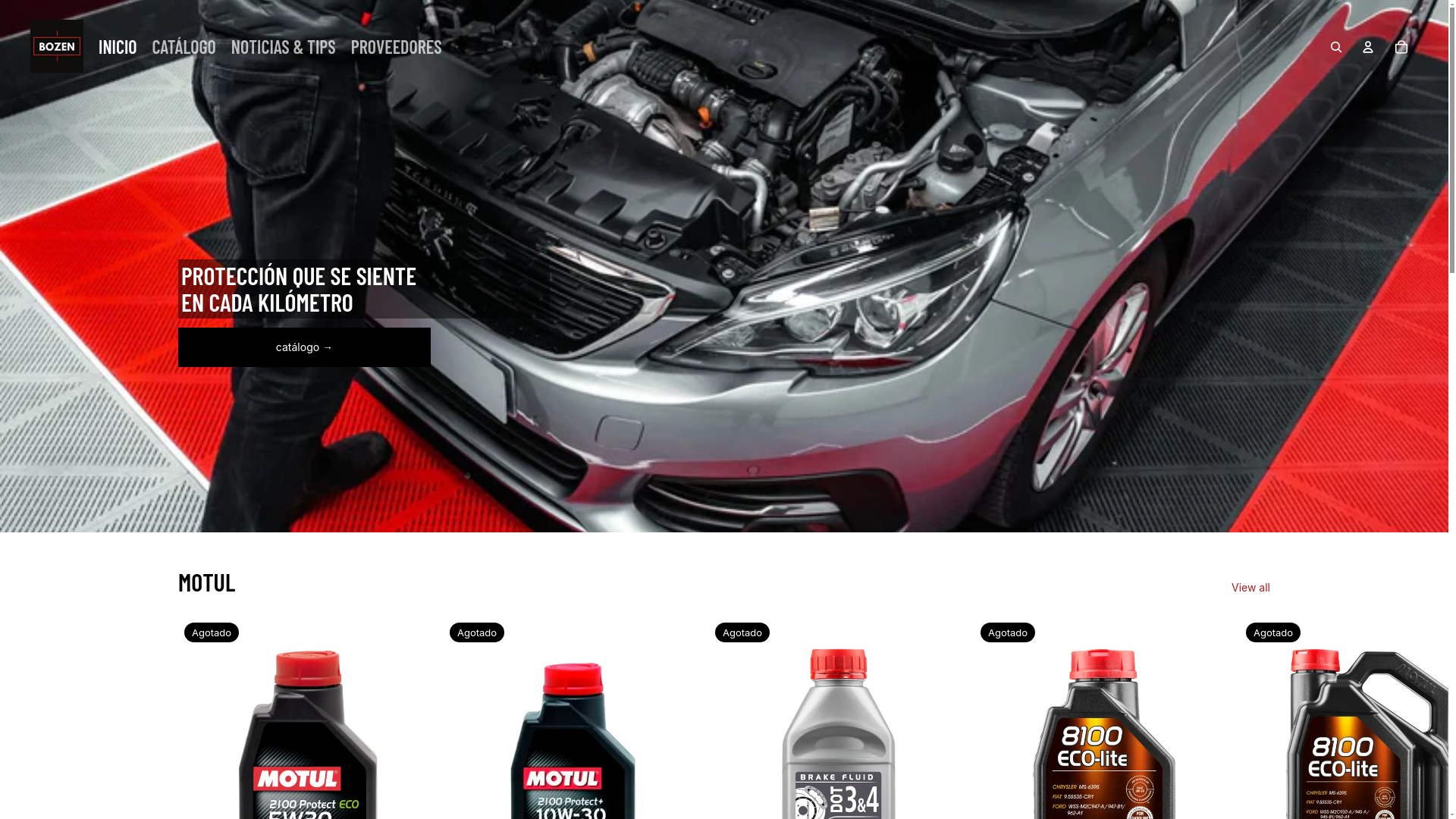 website screenshot of https://bozencomercial.com/