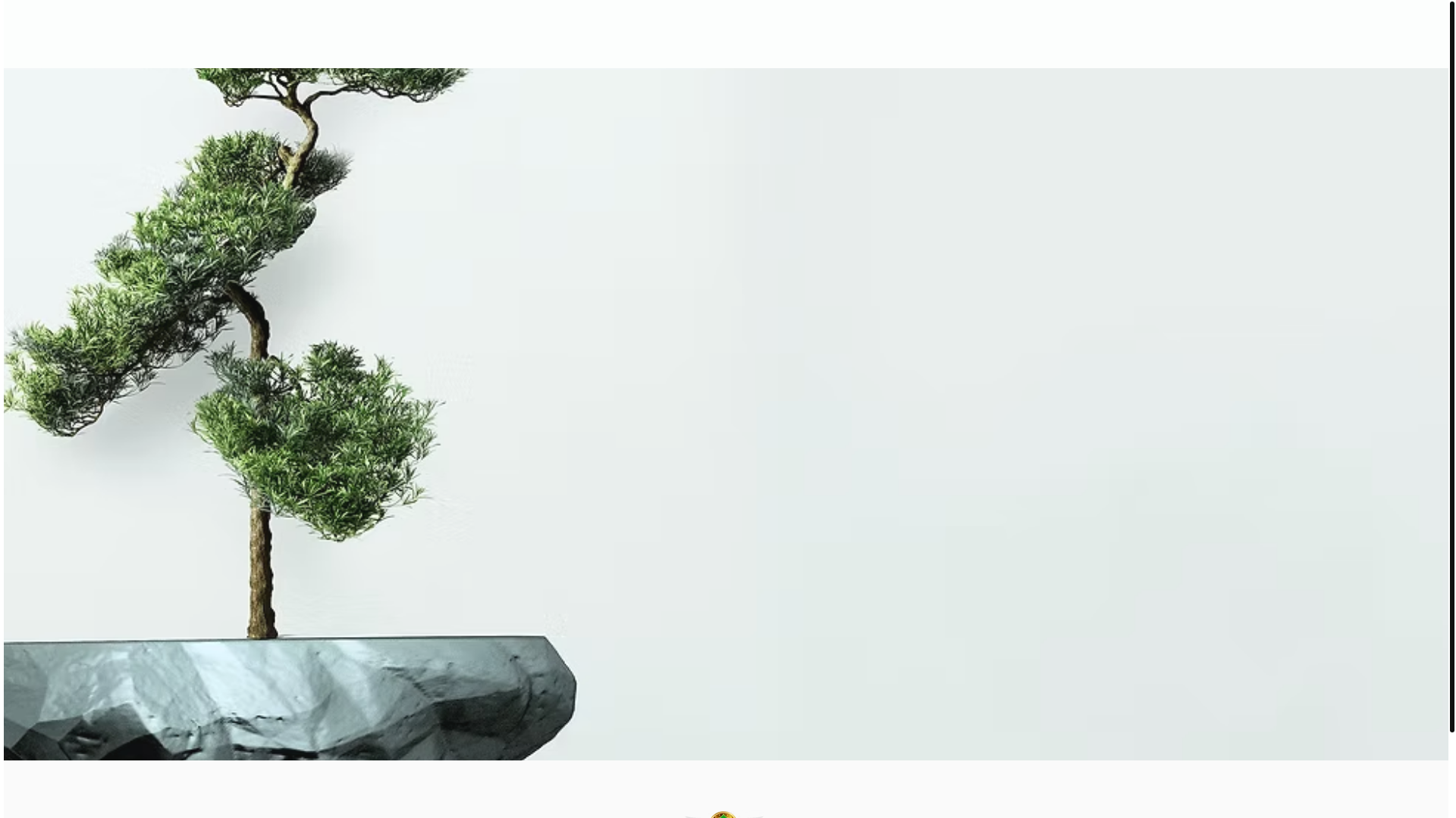 website screenshot of https://kcya-ny.org/
