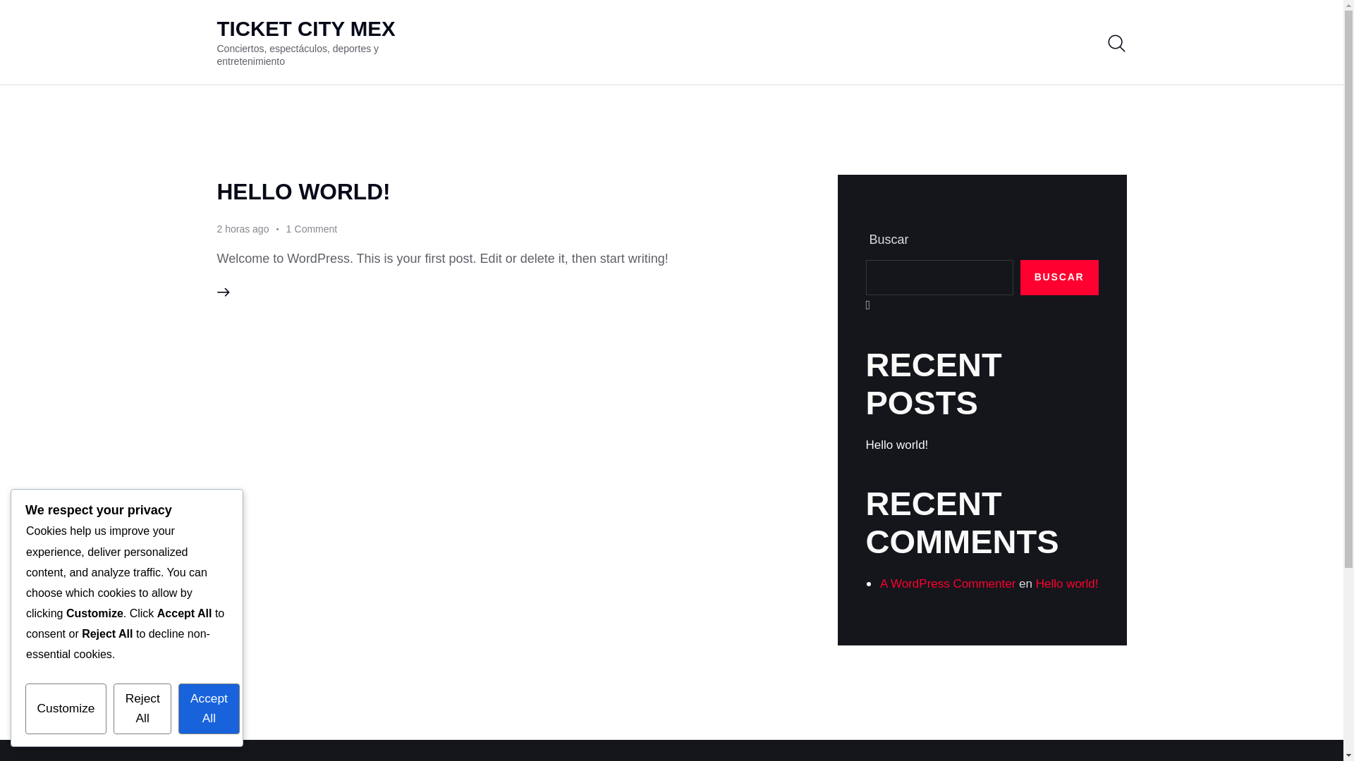 website screenshot of https://ticketcitymex.com/