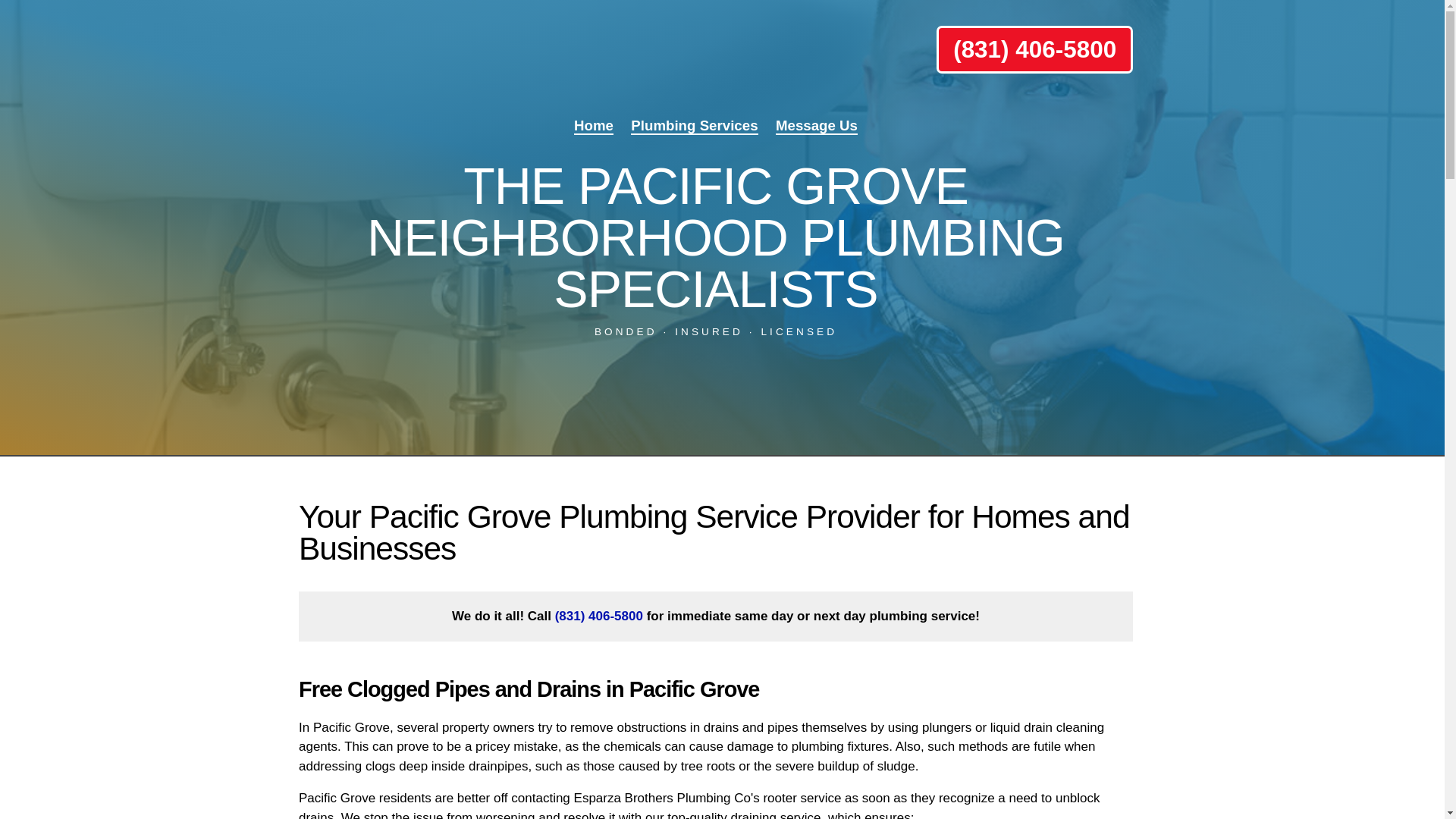 website screenshot of https://esparzabrothersplumbing.homes/