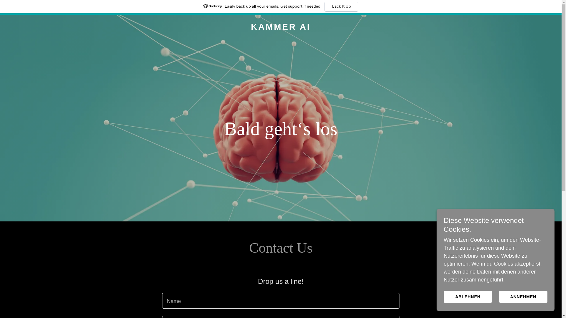 website screenshot of https://kammer.ai/