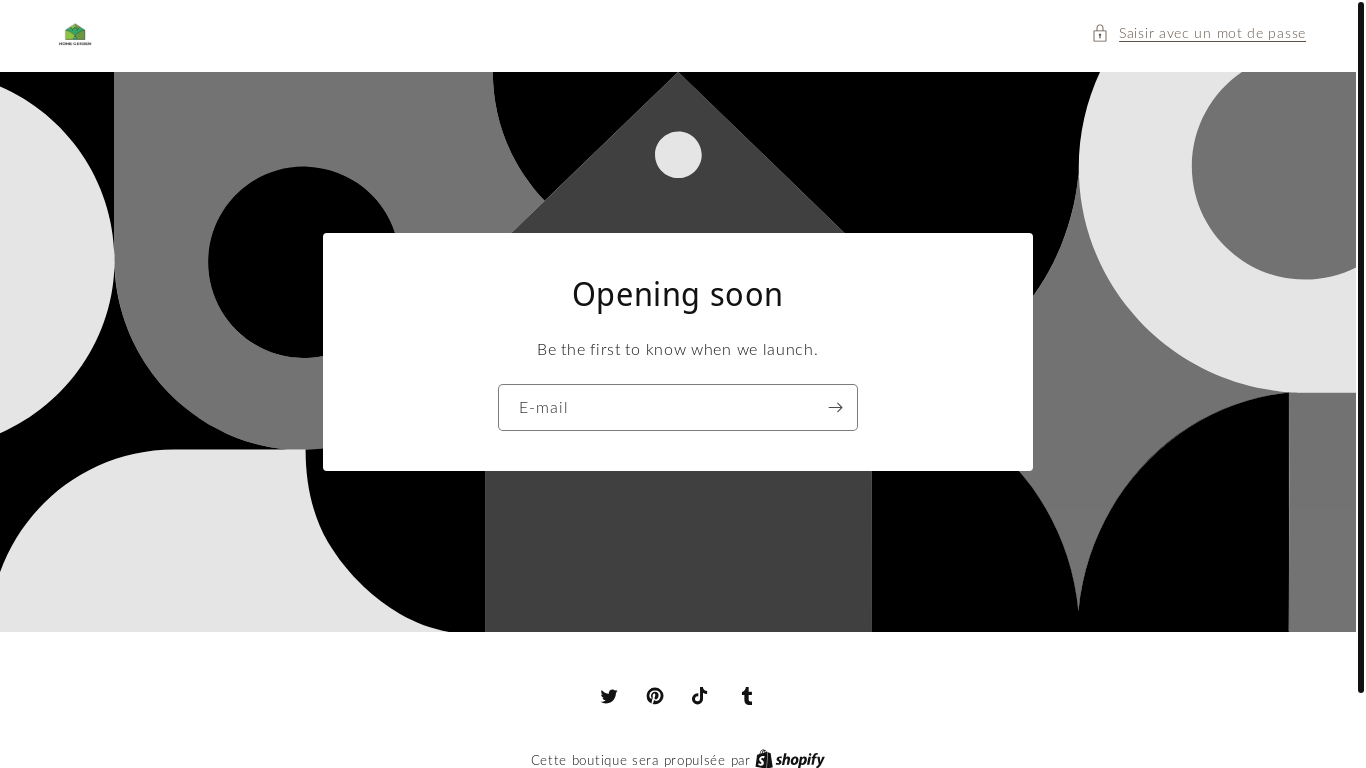 website screenshot of https://marisul.store/