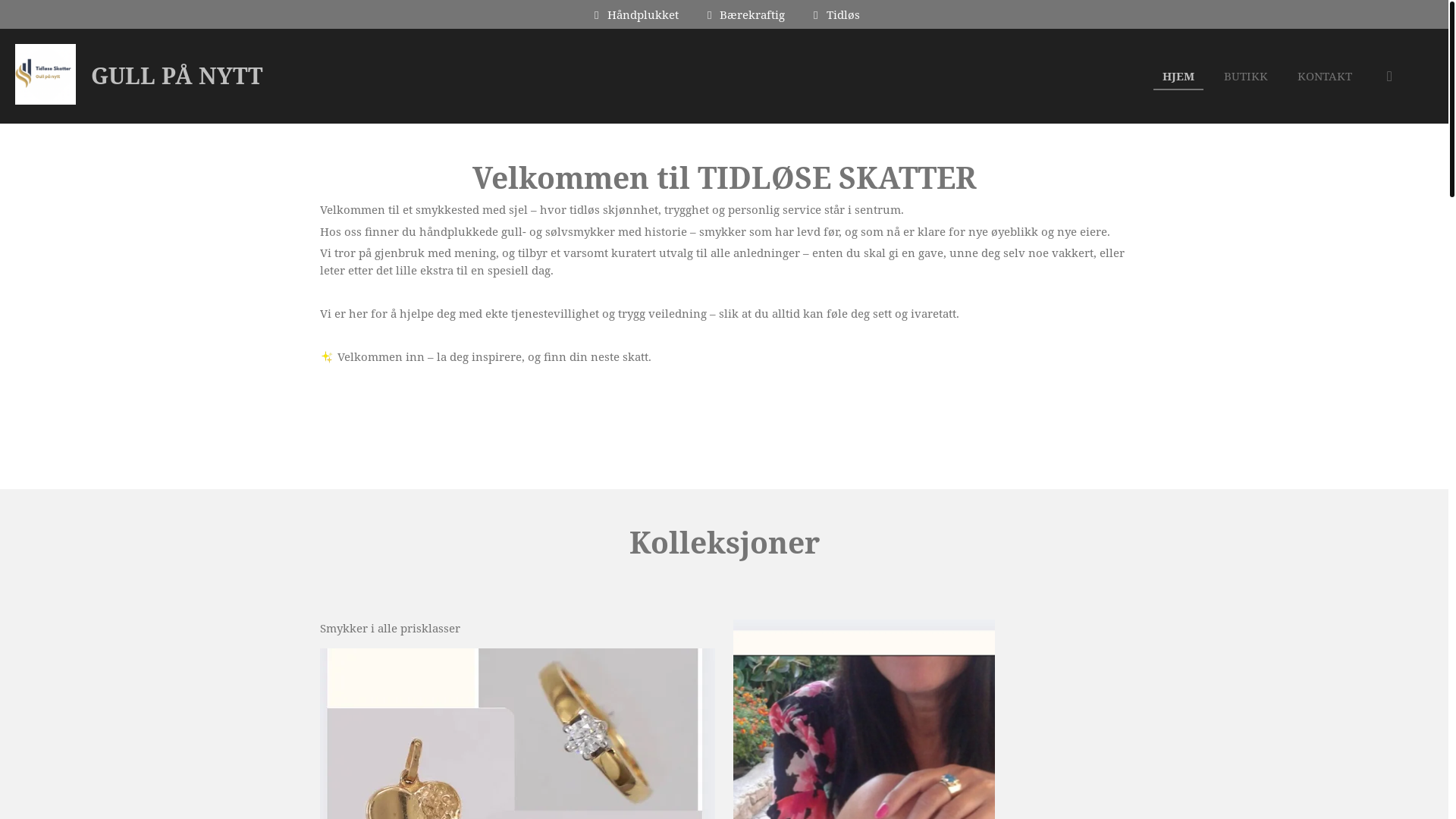 website screenshot of https://tidloeseskattergullpaanytt.com/