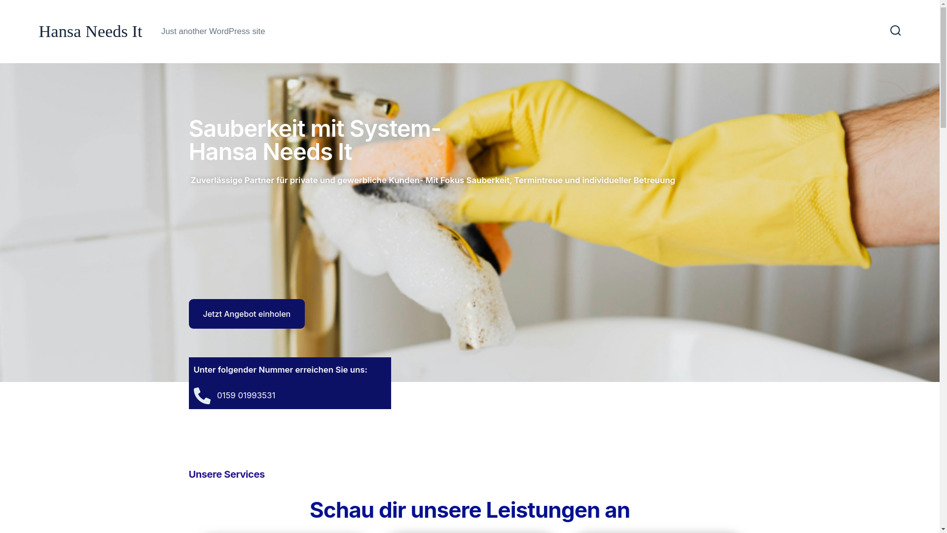 website screenshot of https://hansaneedsit-j0vk2tc43o.live-website.com/#