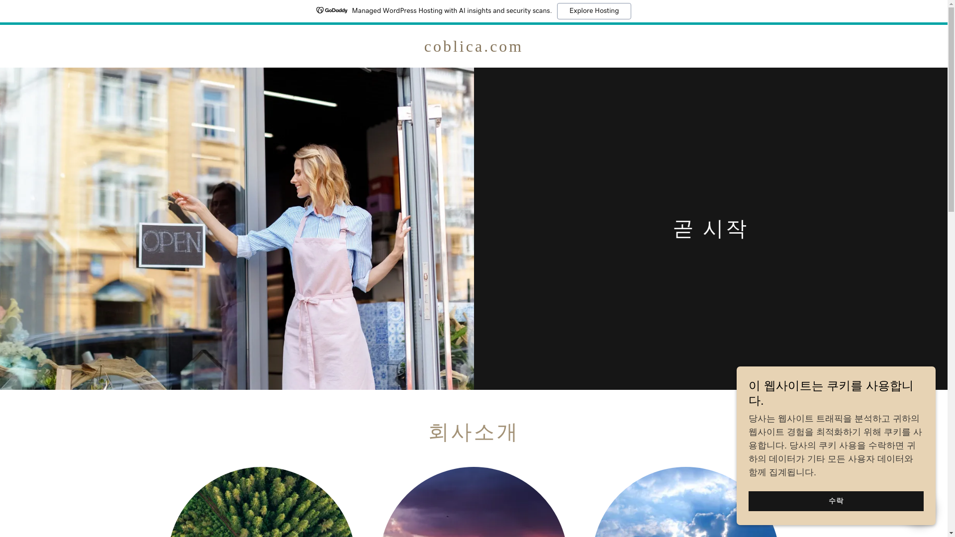 website screenshot of https://coblica.com/