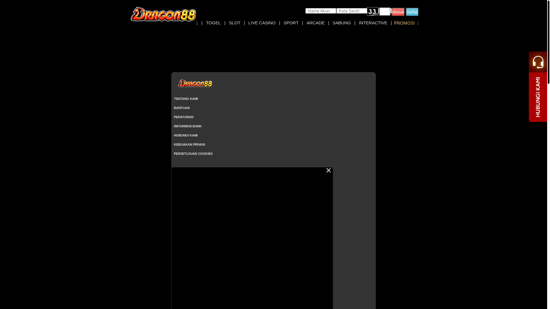 website screenshot of https://dragon88cello.com/
