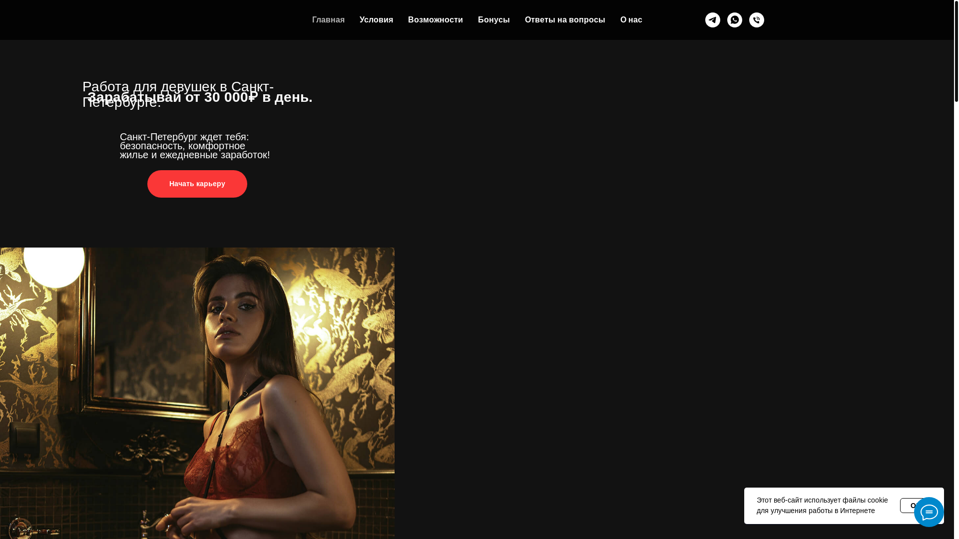 website screenshot of https://spb-career.ru/